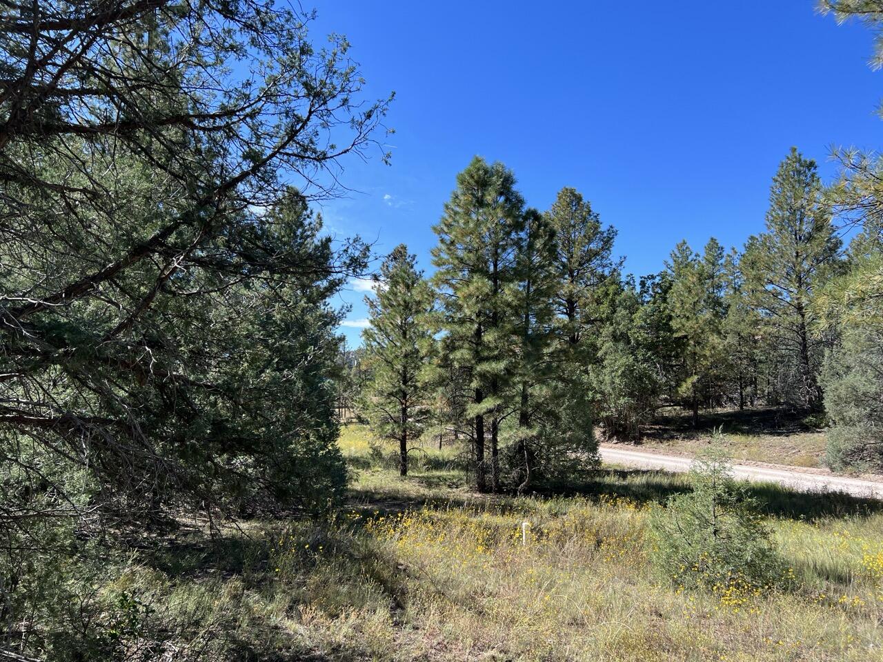 Lot 18 Quail Road, Ramah, New Mexico image 11