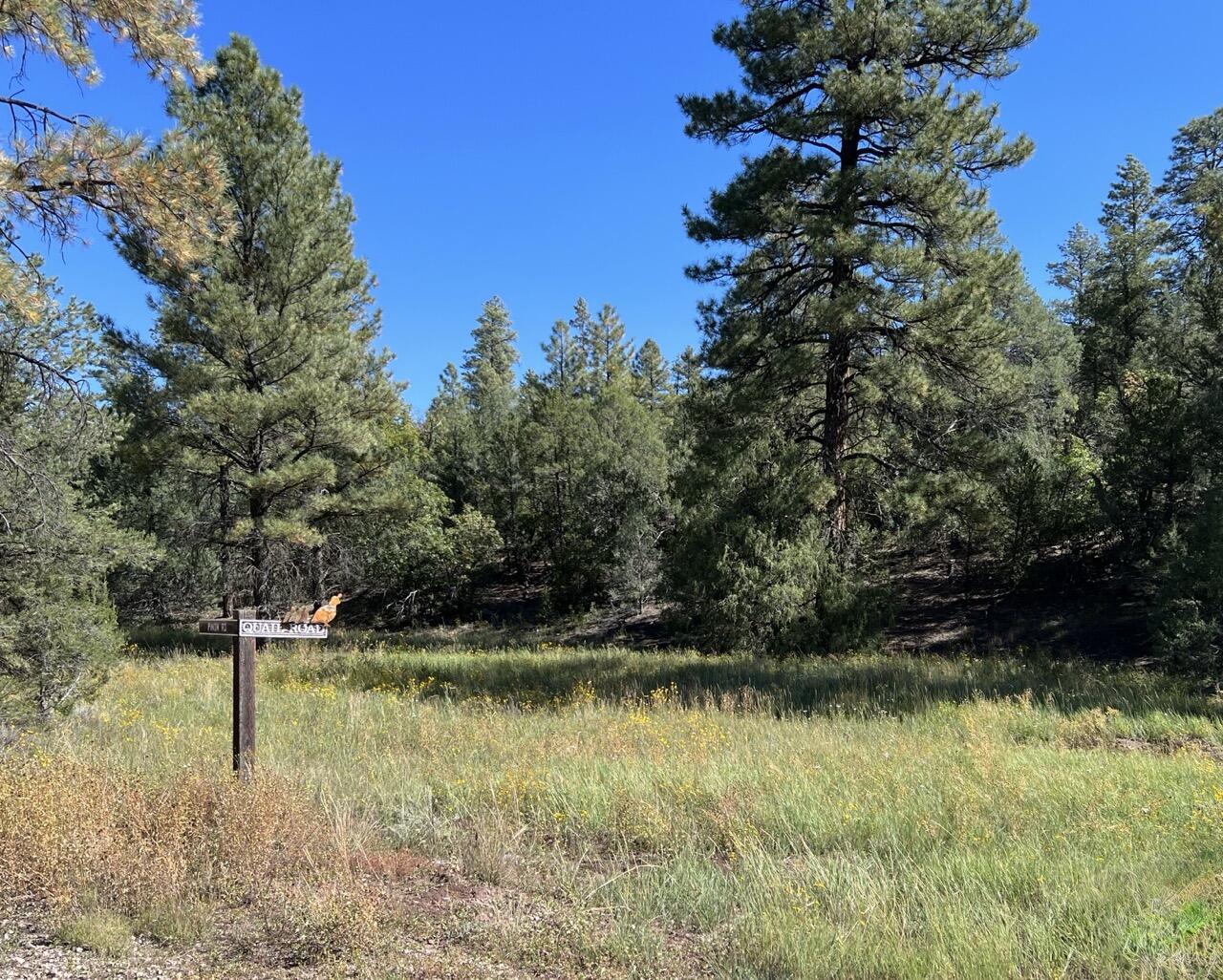 Lot 18 Quail Road, Ramah, New Mexico image 6