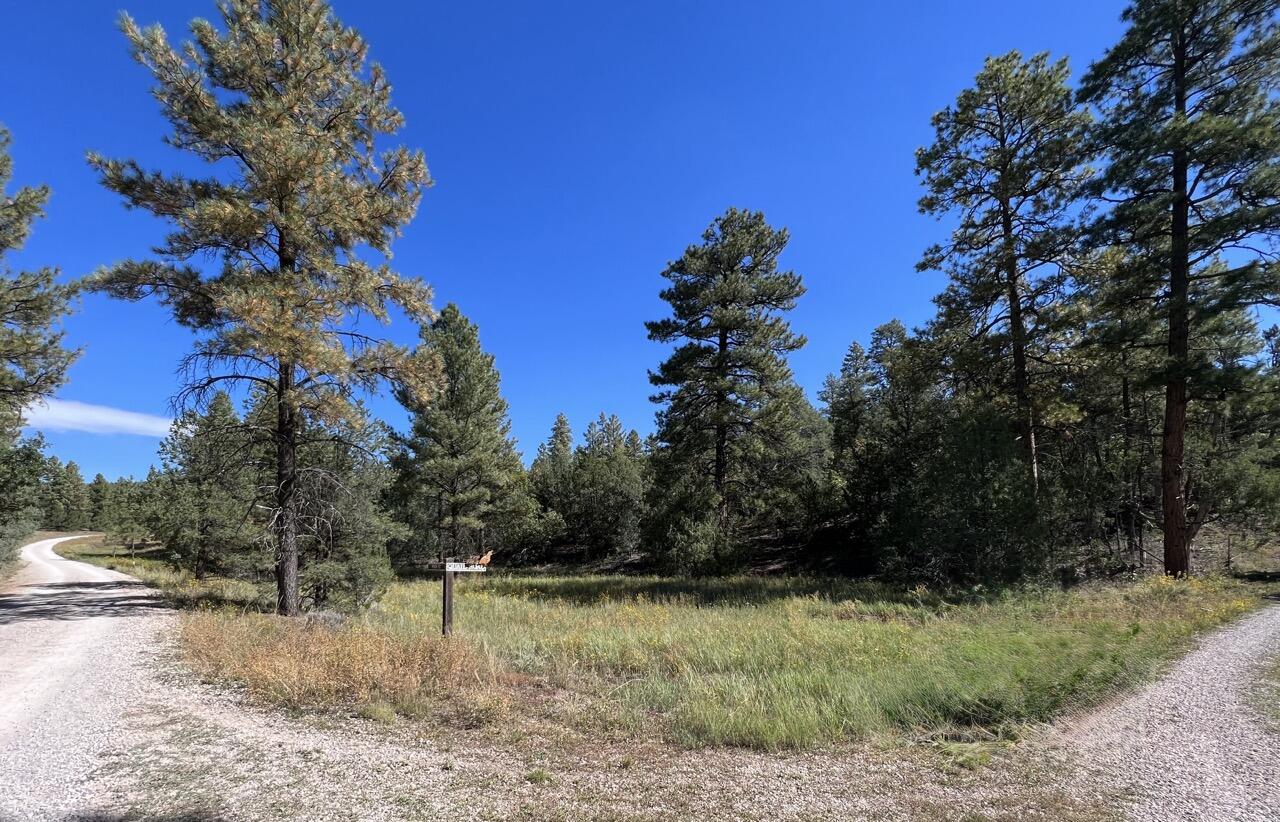 Lot 18 Quail Road, Ramah, New Mexico image 7