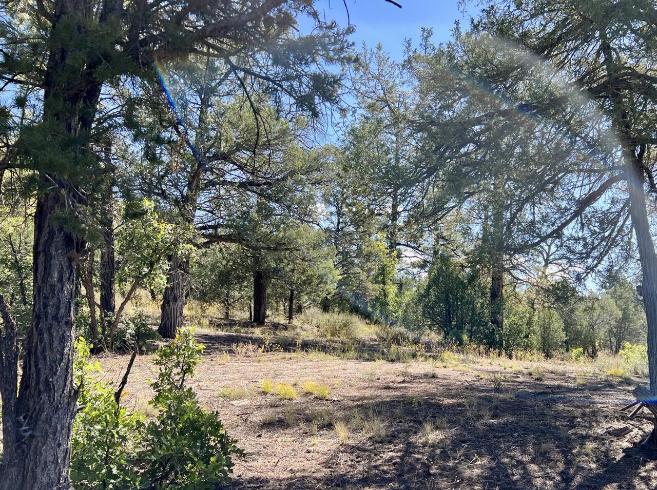 Lot 18 Quail Road, Ramah, New Mexico image 23