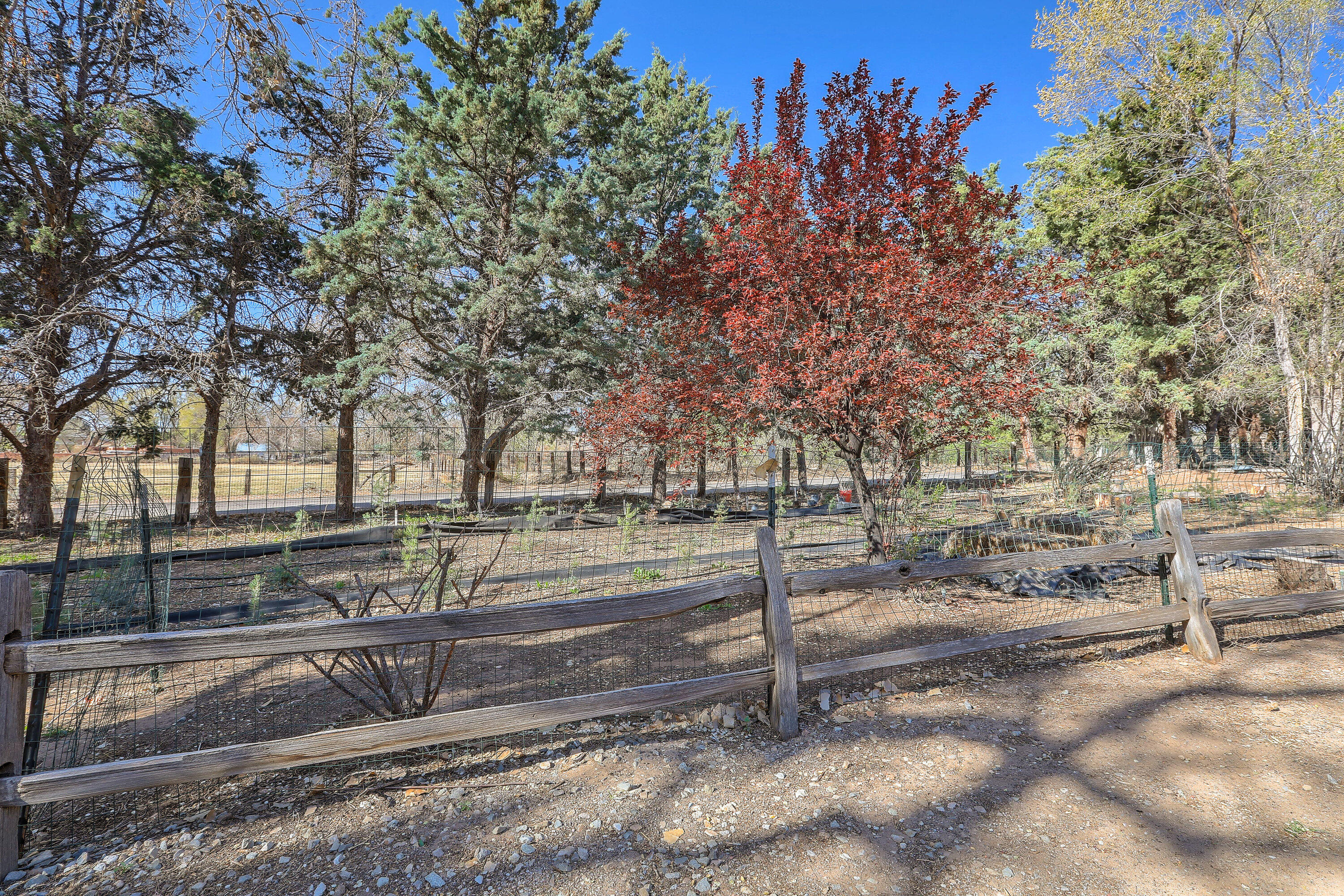 78 Quirks Lane, Corrales, New Mexico image 46