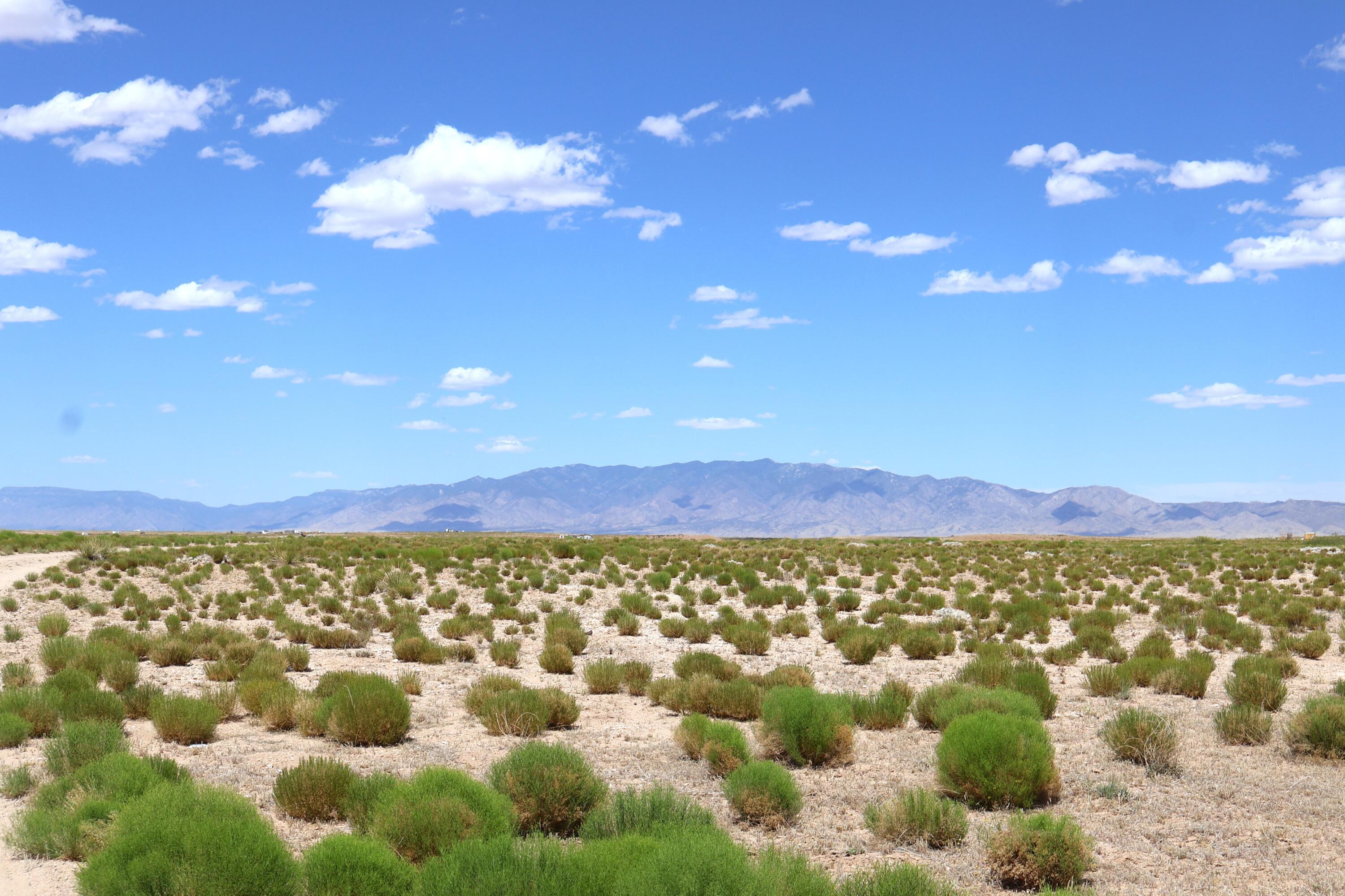 Lot 3 Rio Grande Estates