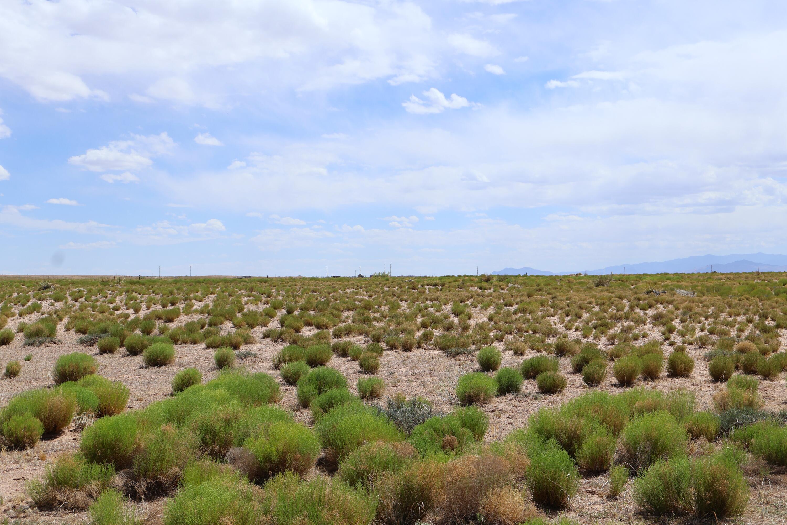Lot 3 Rio Grande Estates