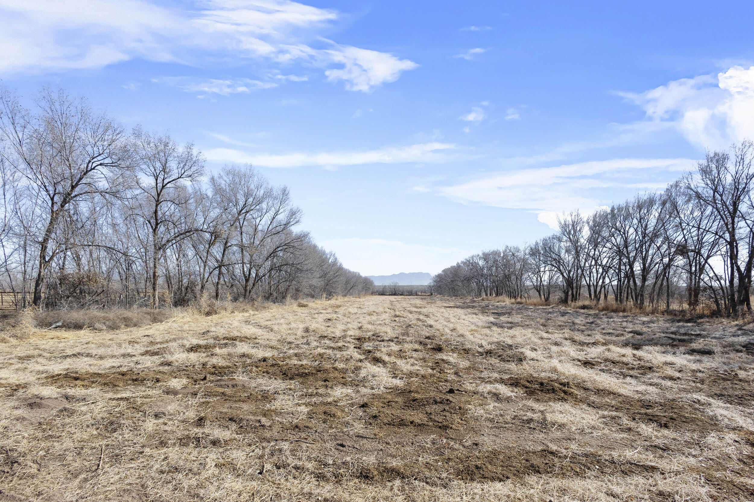 2671 Highway 47, Los Lunas, New Mexico image 31