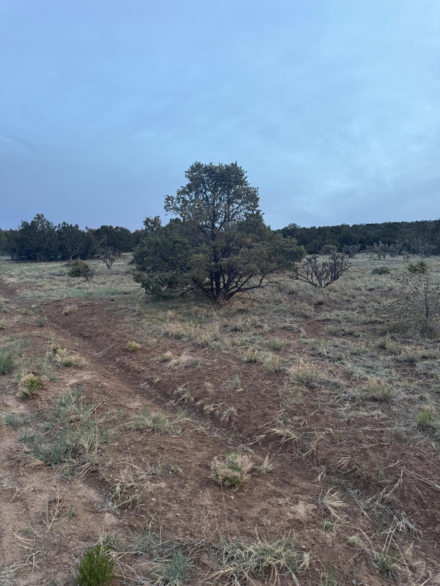 220 W Hill Ranch Road, Edgewood, New Mexico image 11