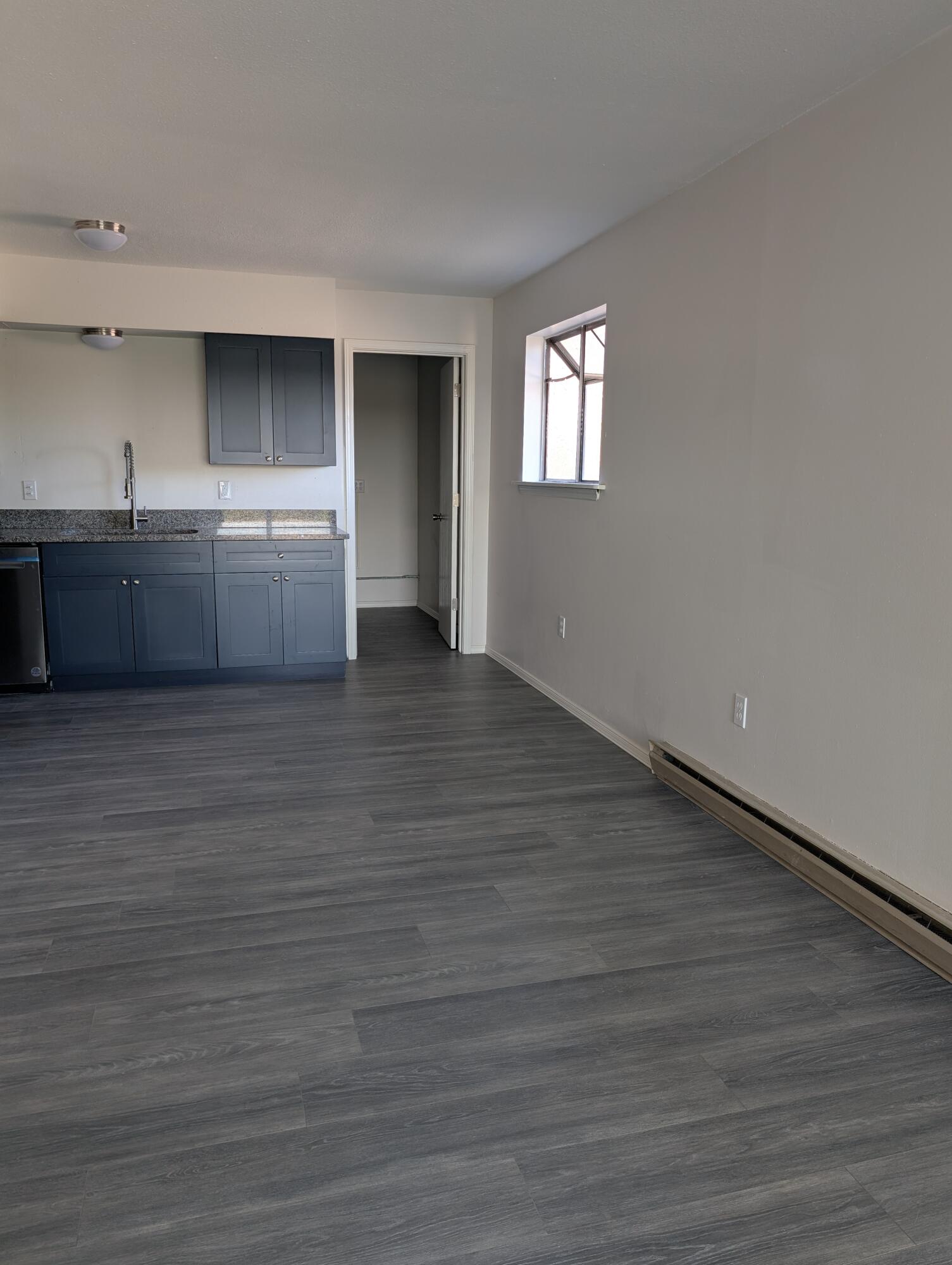 301 Stagecoach Drive, Elephant Butte, New Mexico image 8