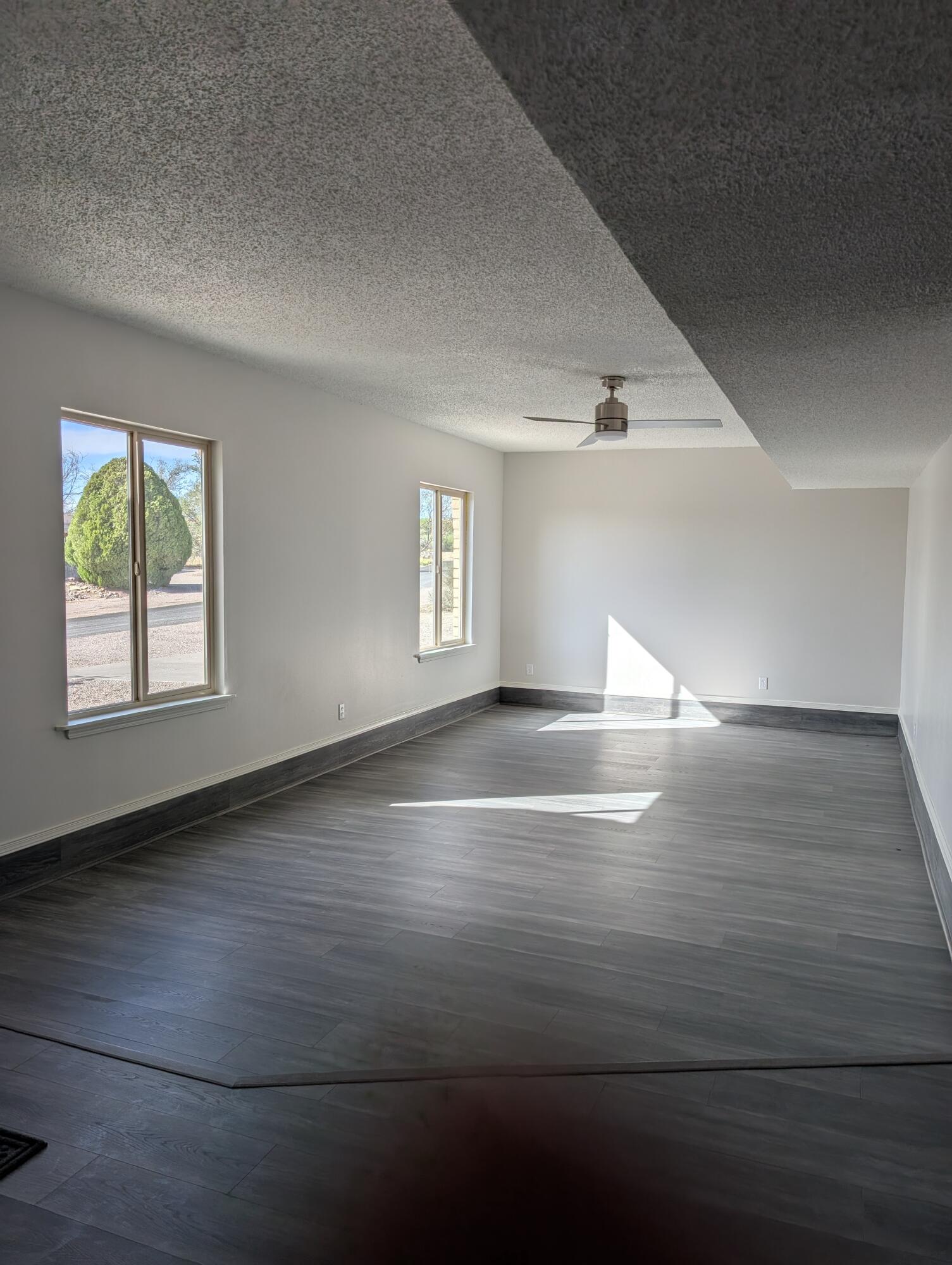301 Stagecoach Drive, Elephant Butte, New Mexico image 6