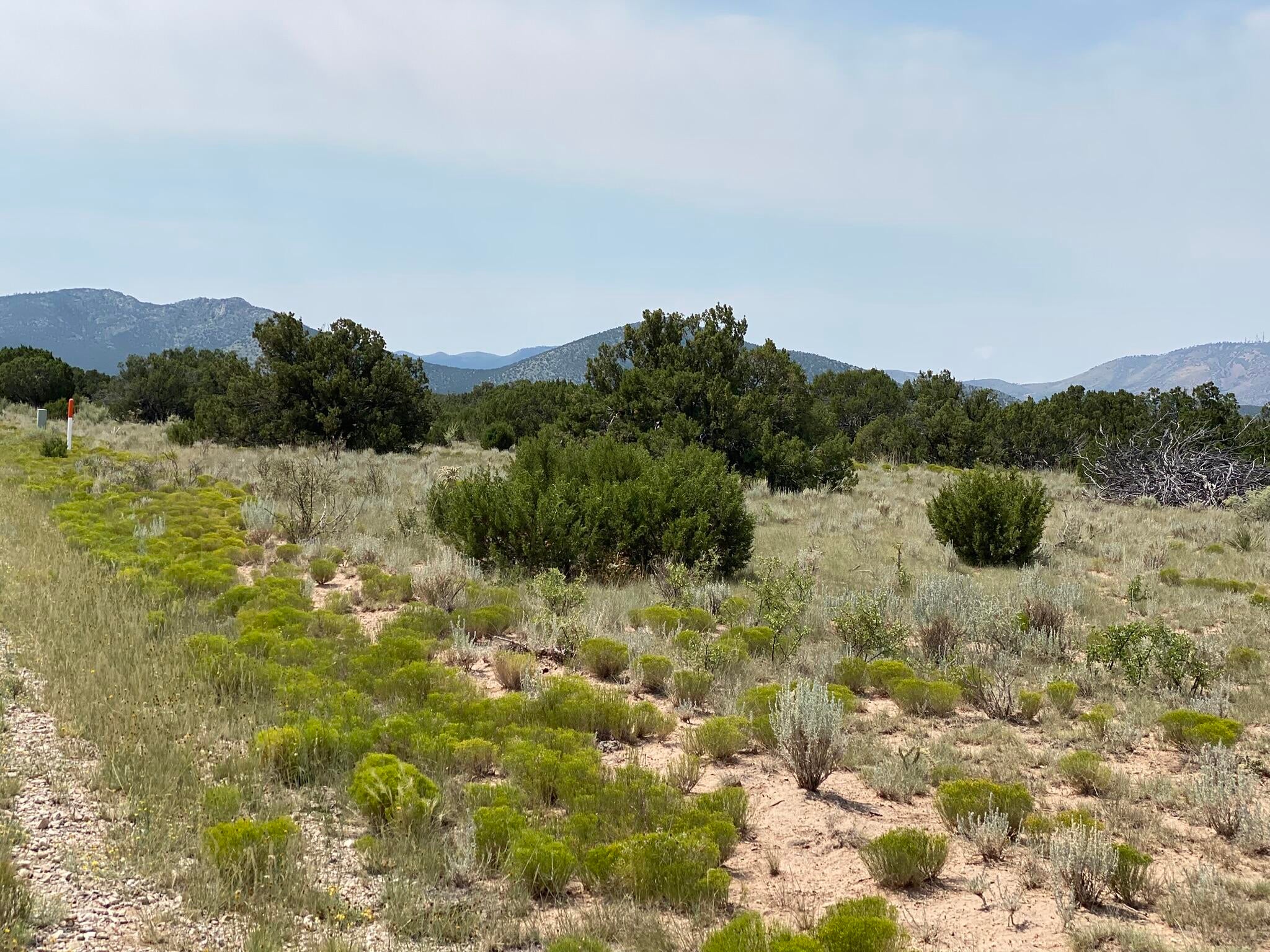 Elk Rd Tract 7 Road