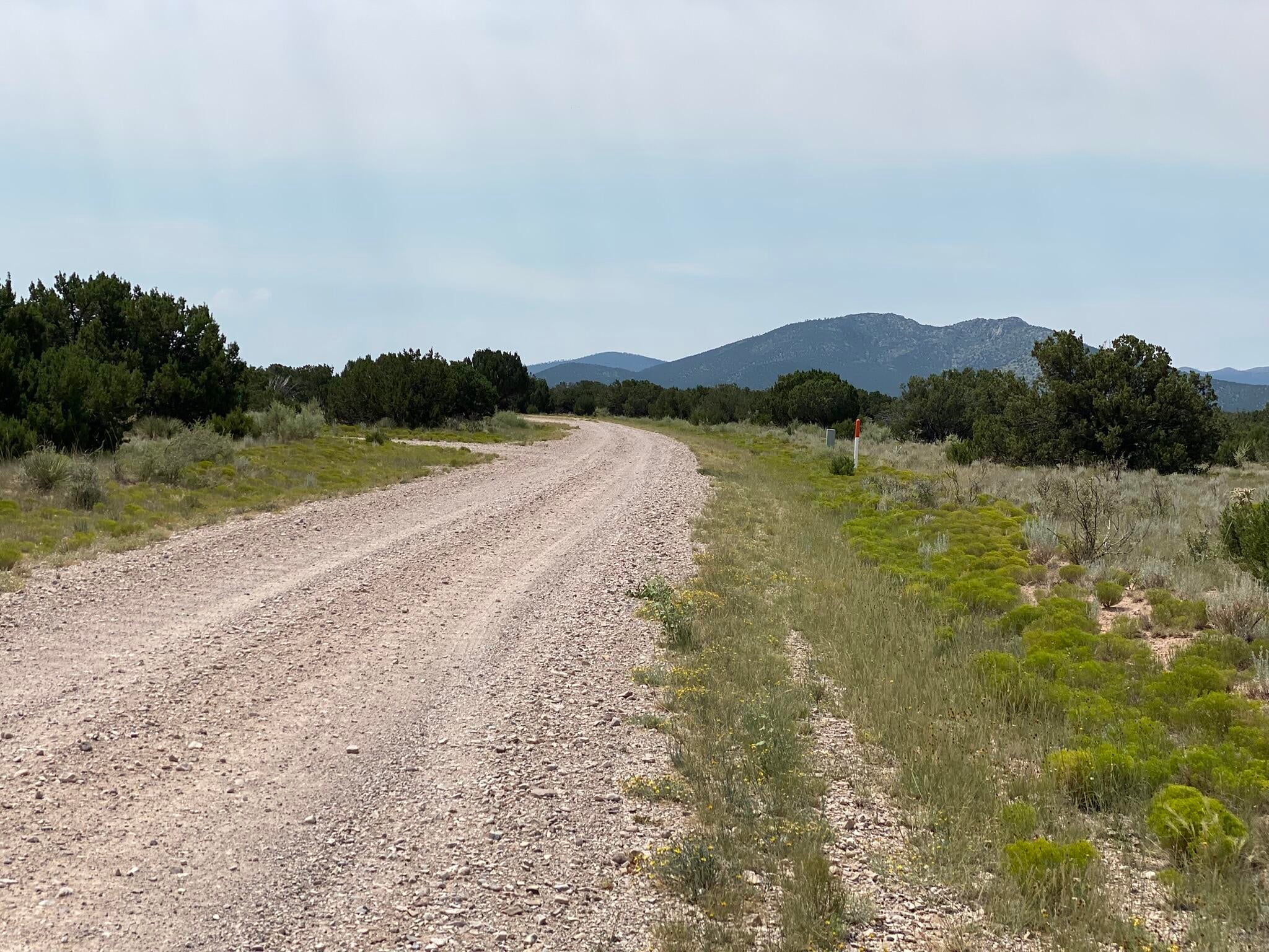 Elk Rd Tract 7 Road