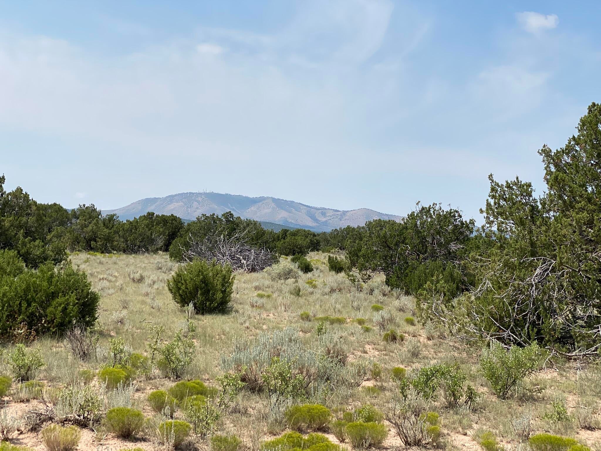 Elk Rd Tract 7 Road