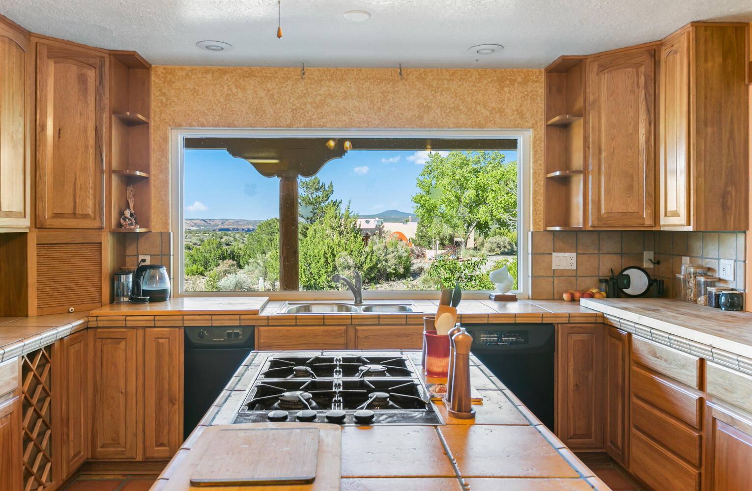 6383 Hoochaneetsa Boulevard, Cochiti Lake, New Mexico image 18