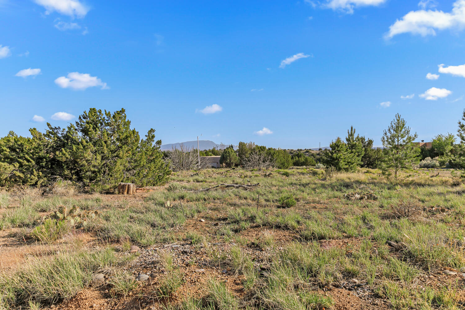 6383 Hoochaneetsa Boulevard, Cochiti Lake, New Mexico image 43