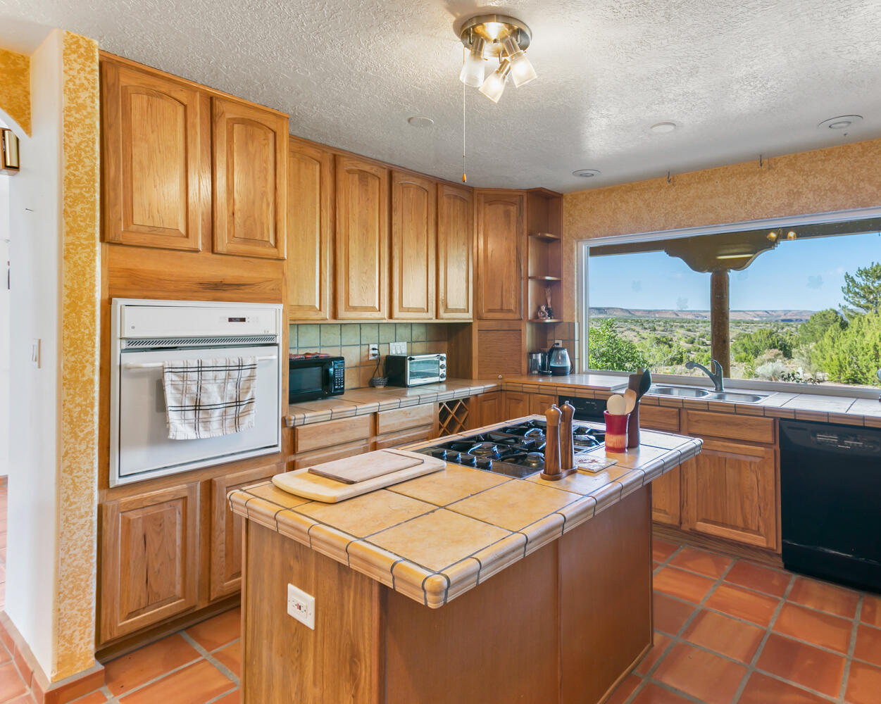 6383 Hoochaneetsa Boulevard, Cochiti Lake, New Mexico image 19