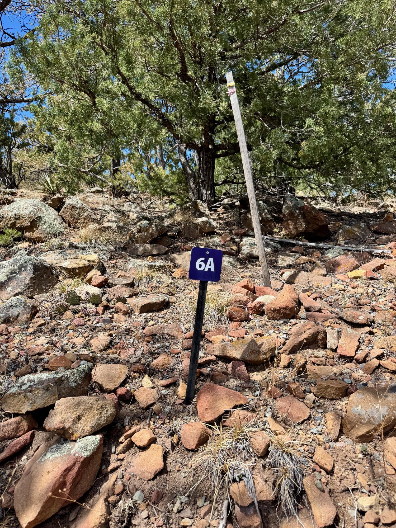 1025 S Summit Rdg, Santa Fe, New Mexico image 5
