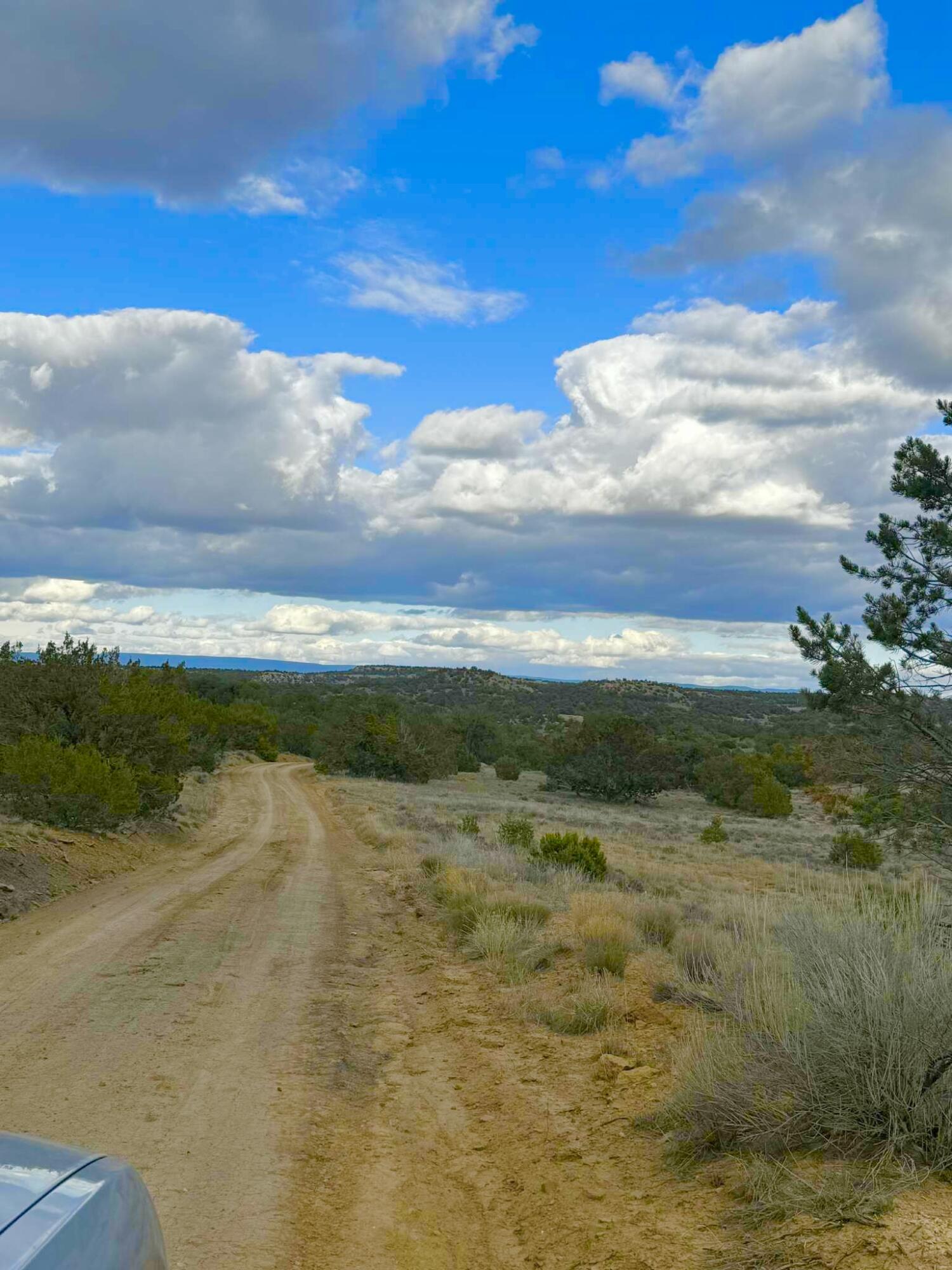 98 Great White Father Road