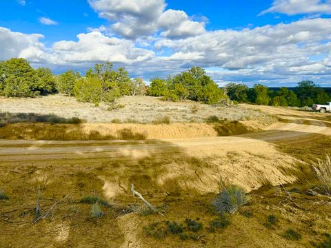Photo of 98 Great White Father Road, Ramah, NM 87321 (MLS # 1101979)