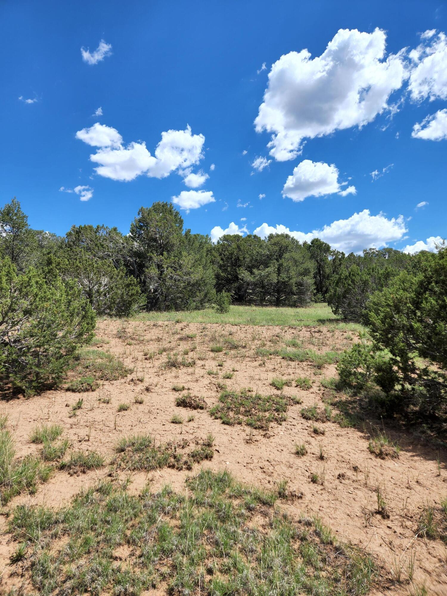 455 Acres Off Brannan Loop, Tijeras, New Mexico image 4