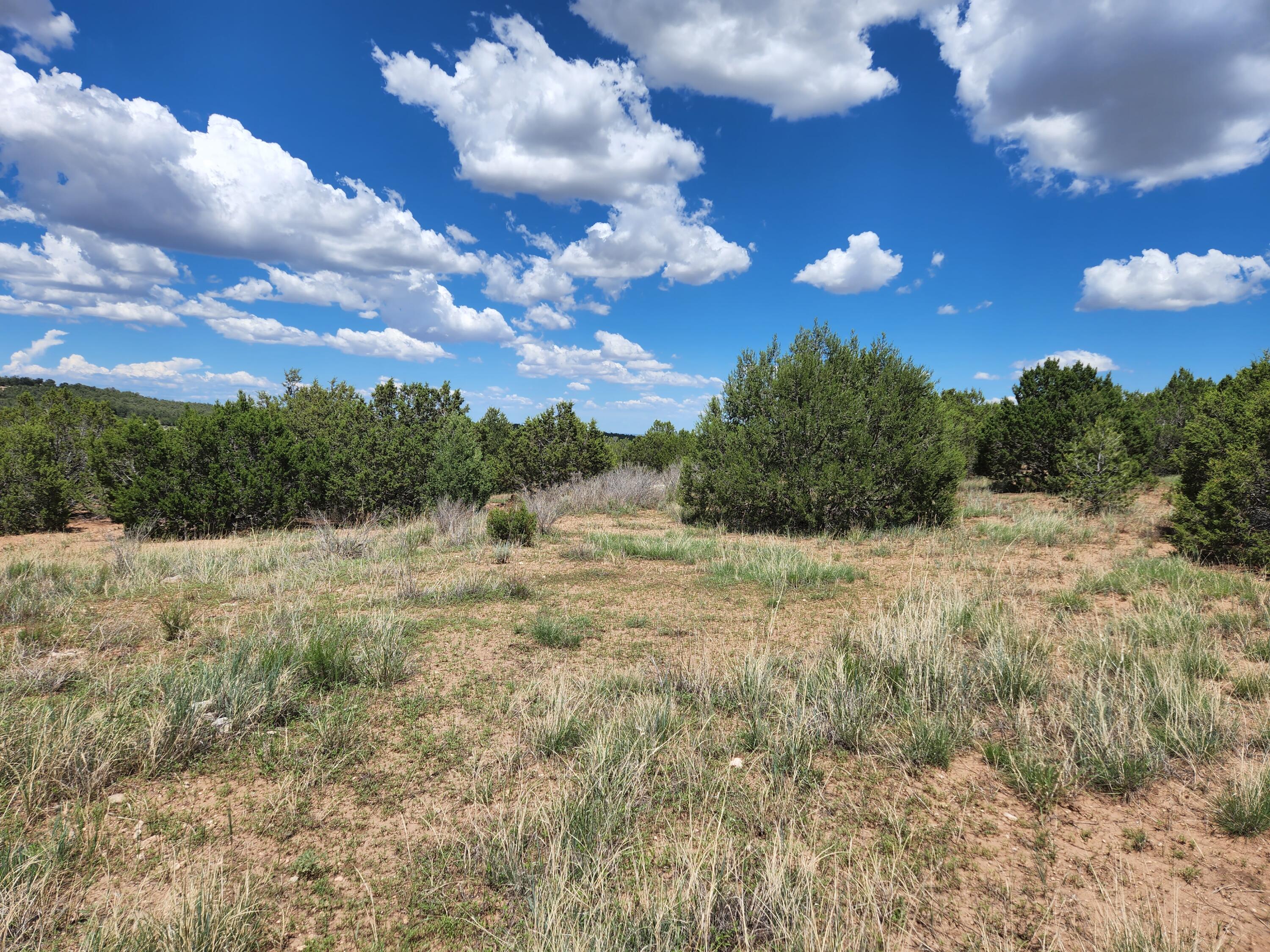 455 Acres Off Brannan Loop, Tijeras, New Mexico image 1