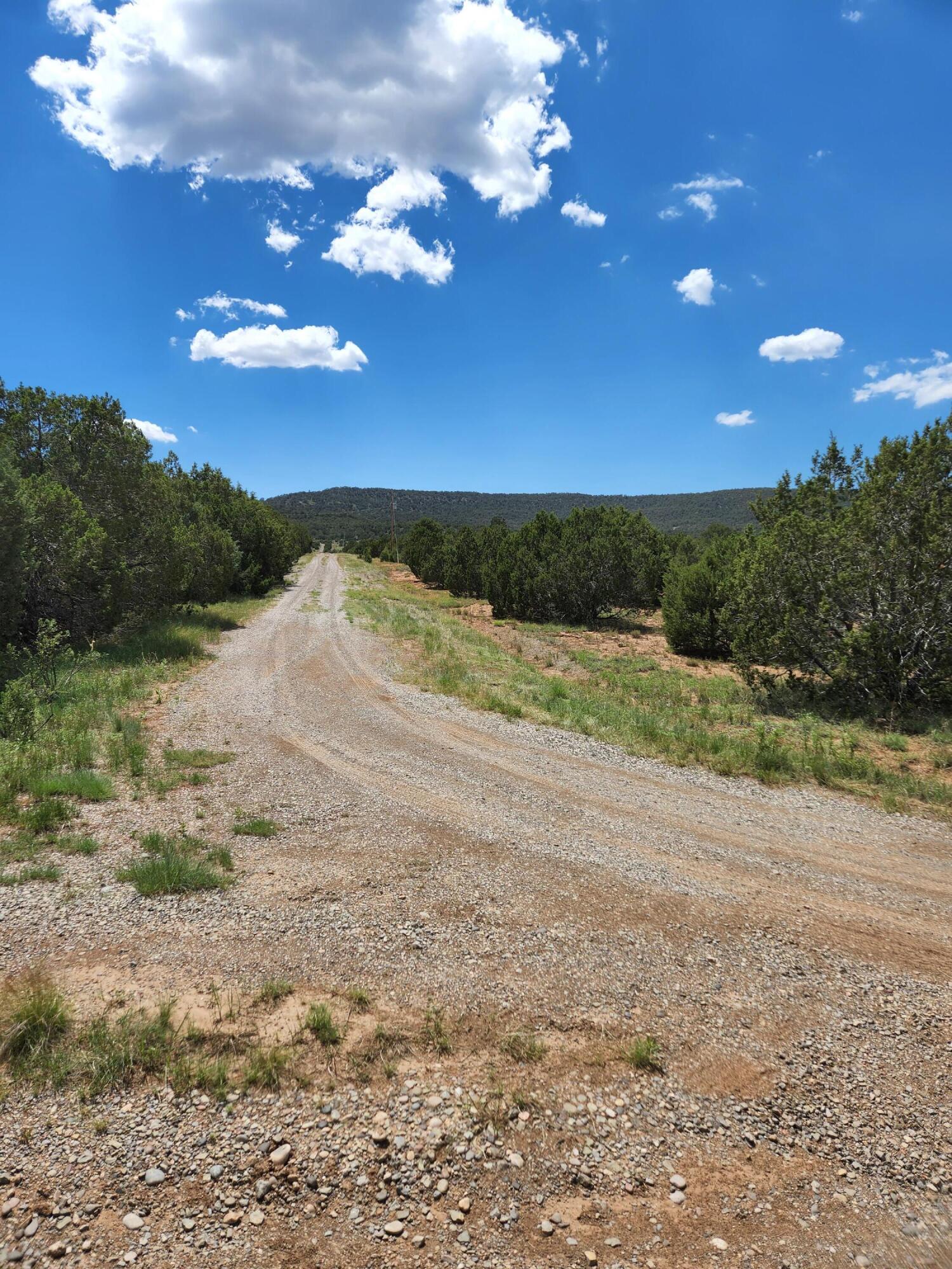 455 Acres Off Brannan Loop, Tijeras, New Mexico image 3