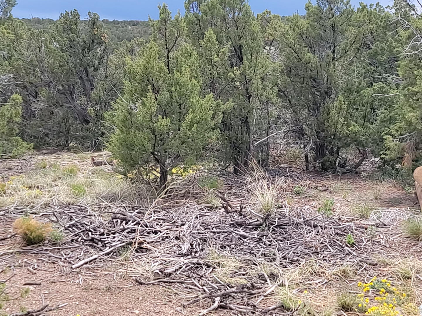 26 High Vista Drive, Edgewood, New Mexico image 2