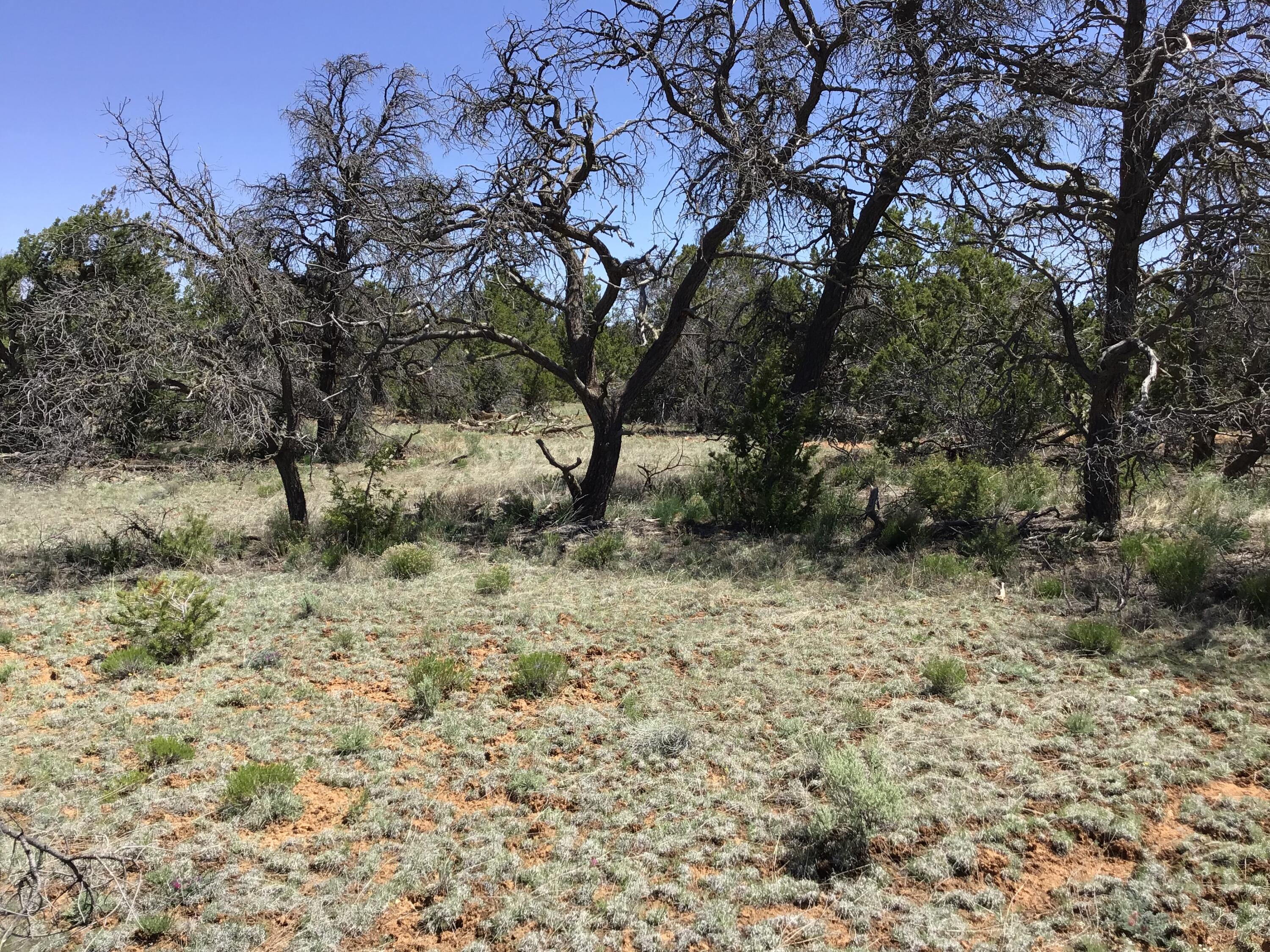 Lot 76 Peaceful Drive, Ramah, New Mexico image 12