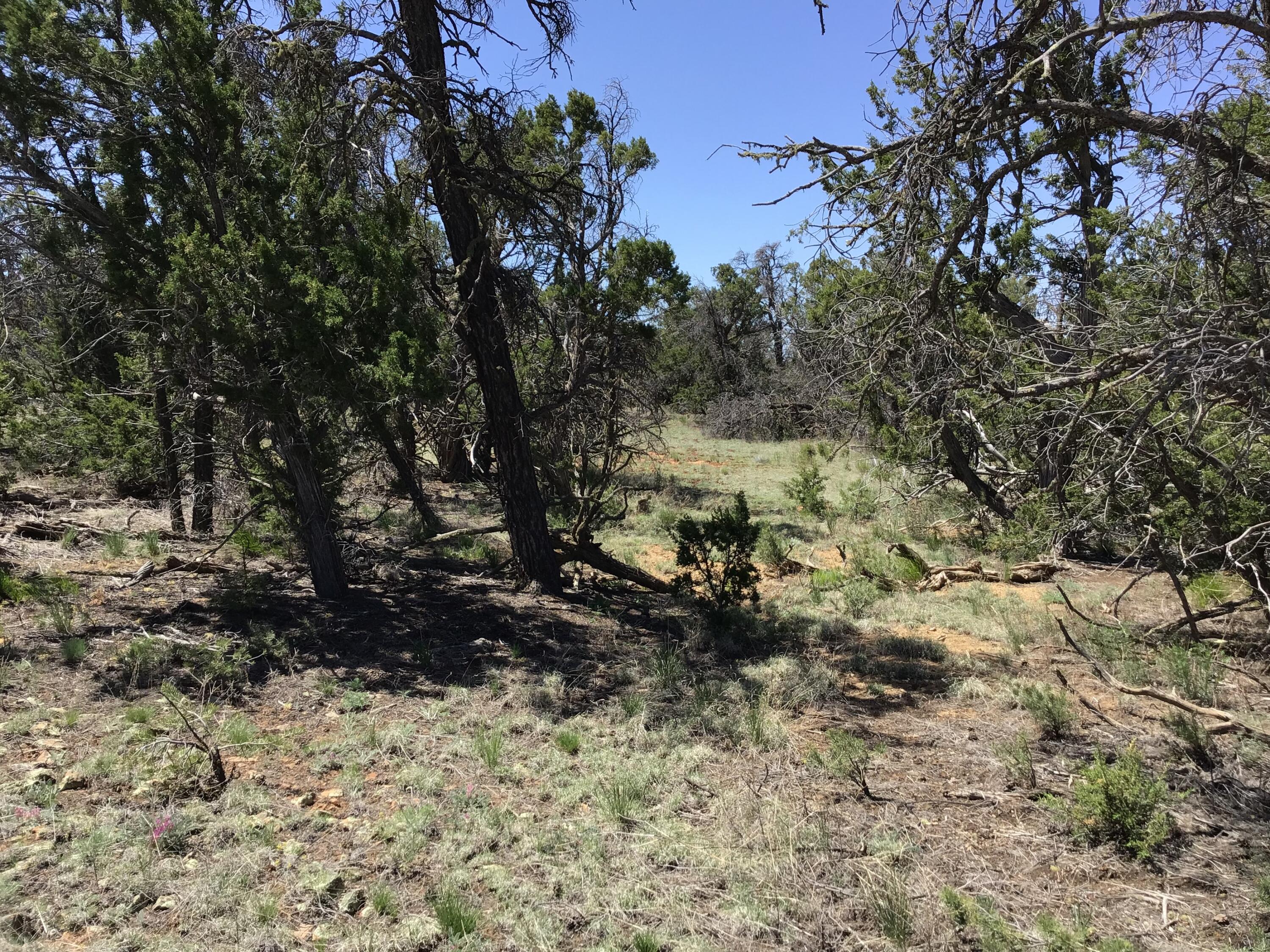 Lot 76 Peaceful Drive, Ramah, New Mexico image 7