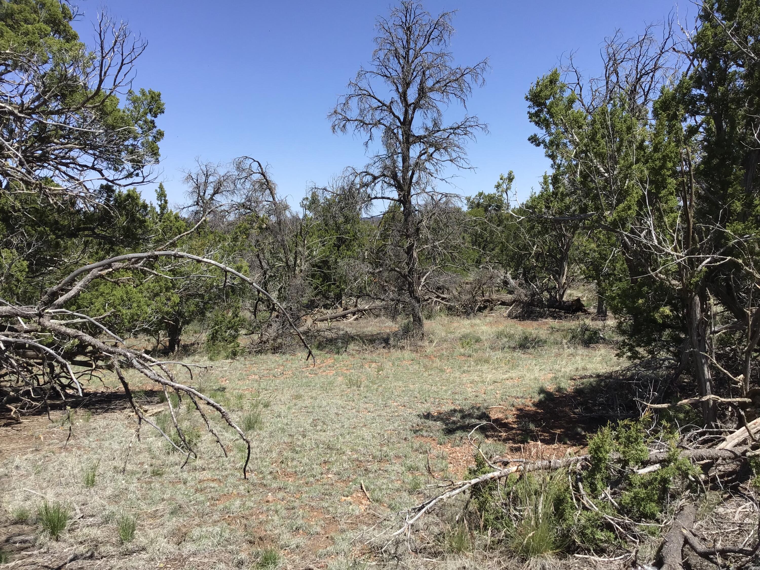 Lot 76 Peaceful Drive, Ramah, New Mexico image 20