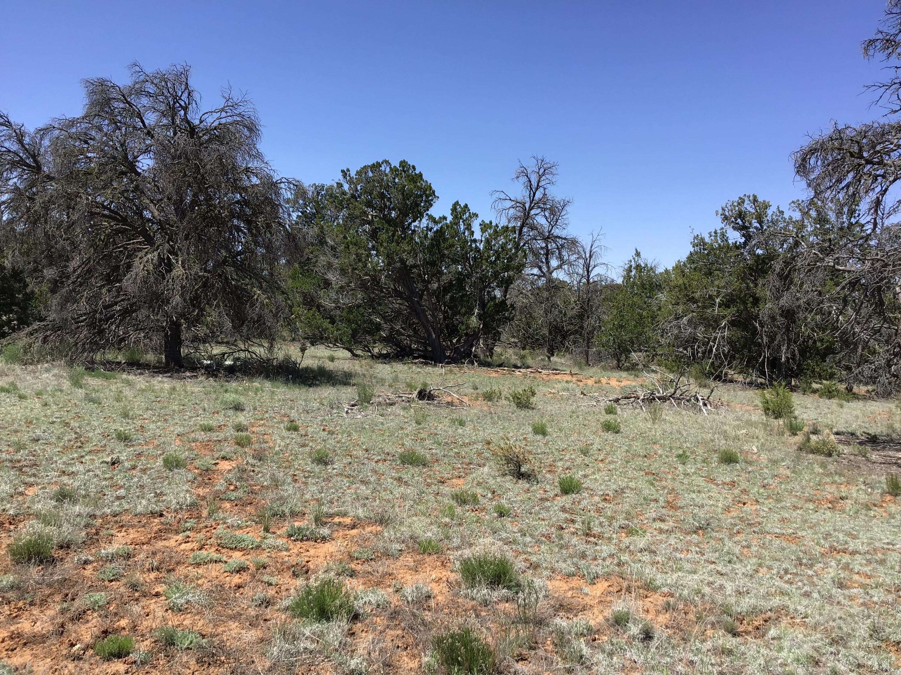 Lot 76 Peaceful Drive, Ramah, New Mexico image 16
