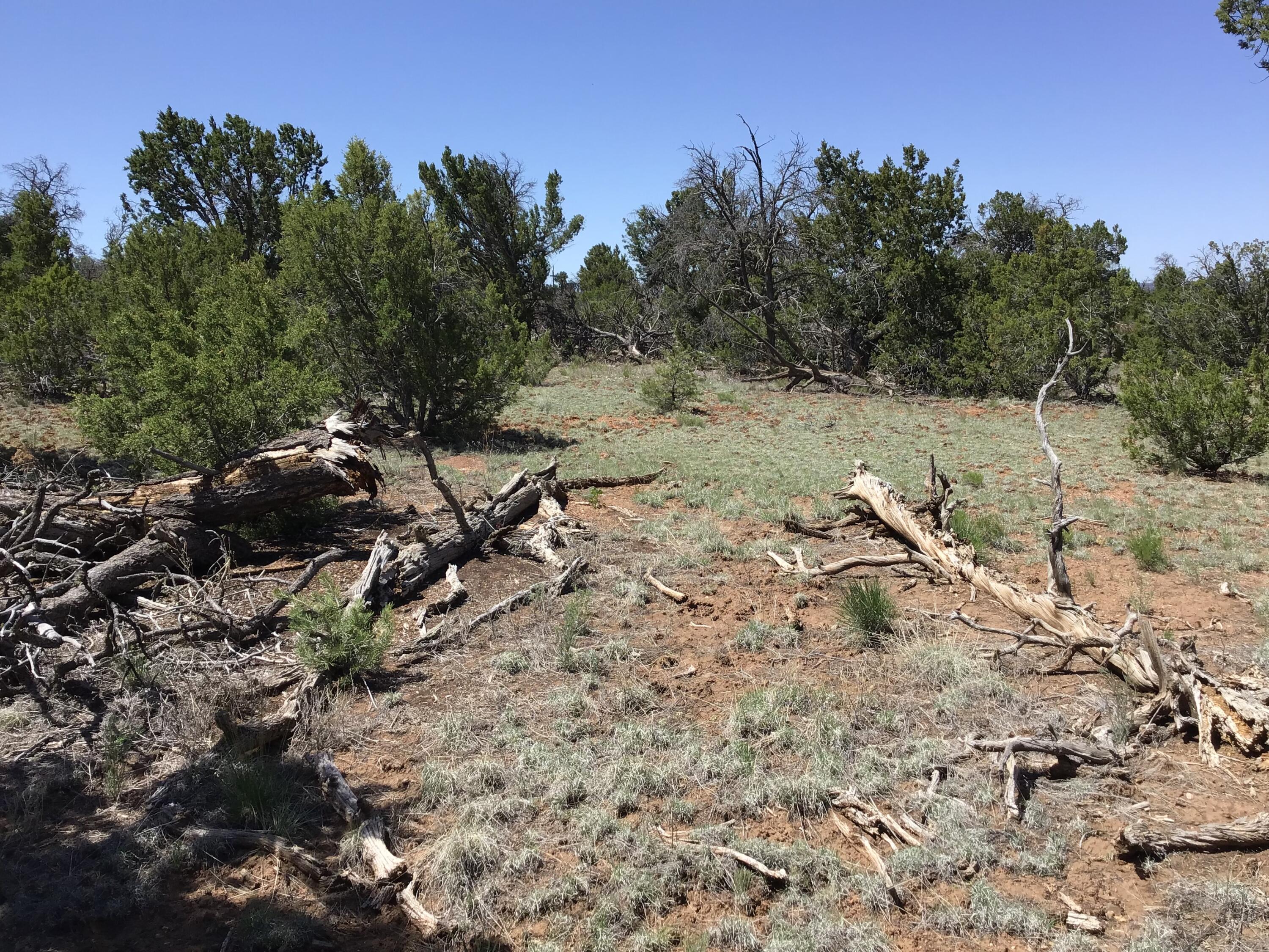 Lot 76 Peaceful Drive, Ramah, New Mexico image 19