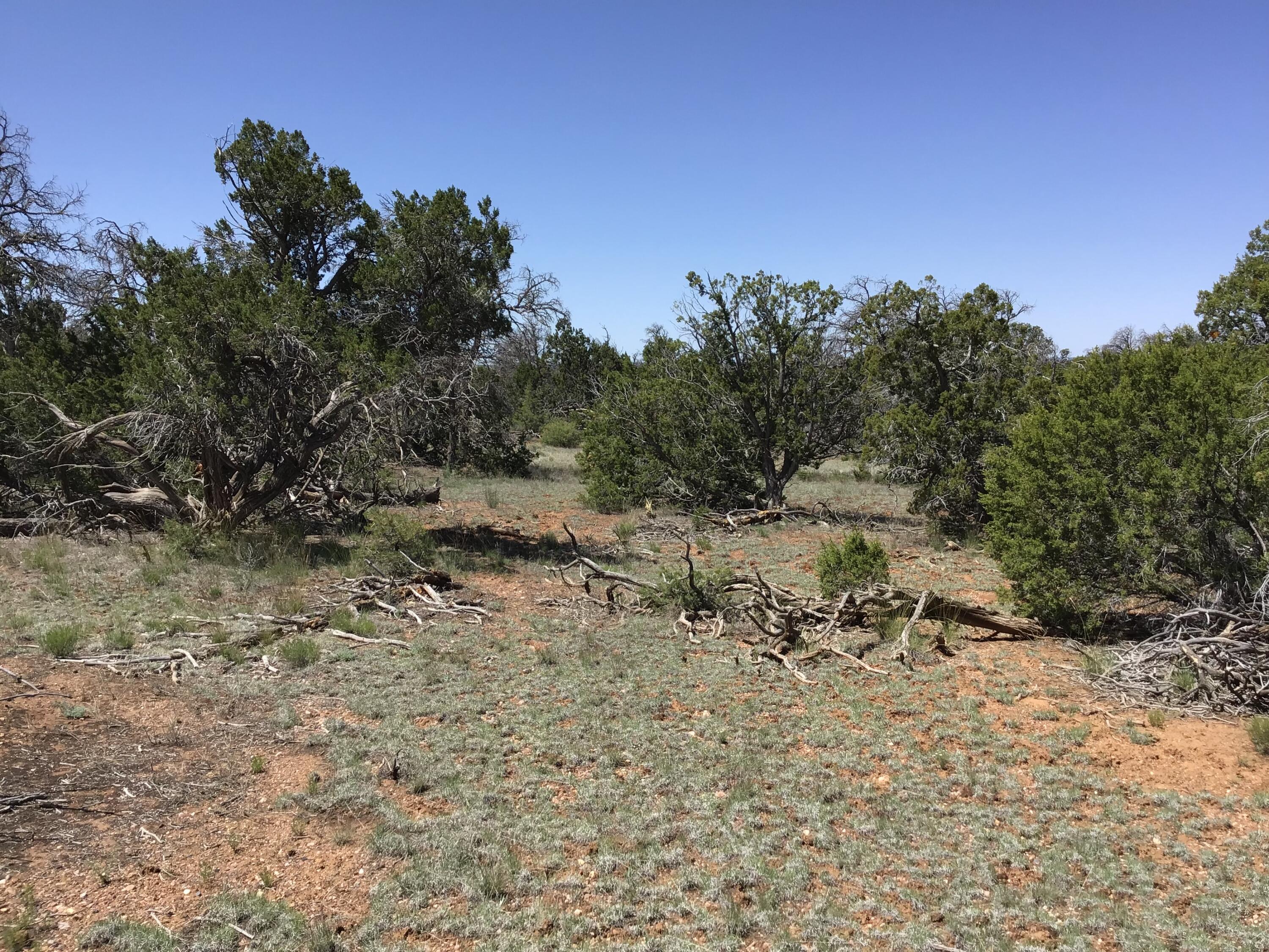 Lot 76 Peaceful Drive, Ramah, New Mexico image 18