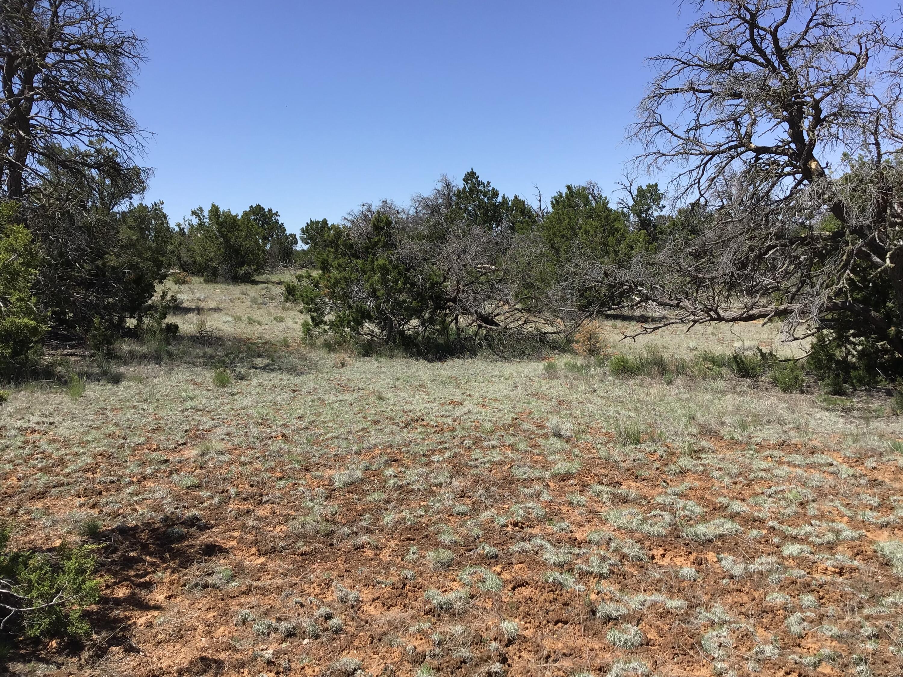 Lot 76 Peaceful Drive, Ramah, New Mexico image 1