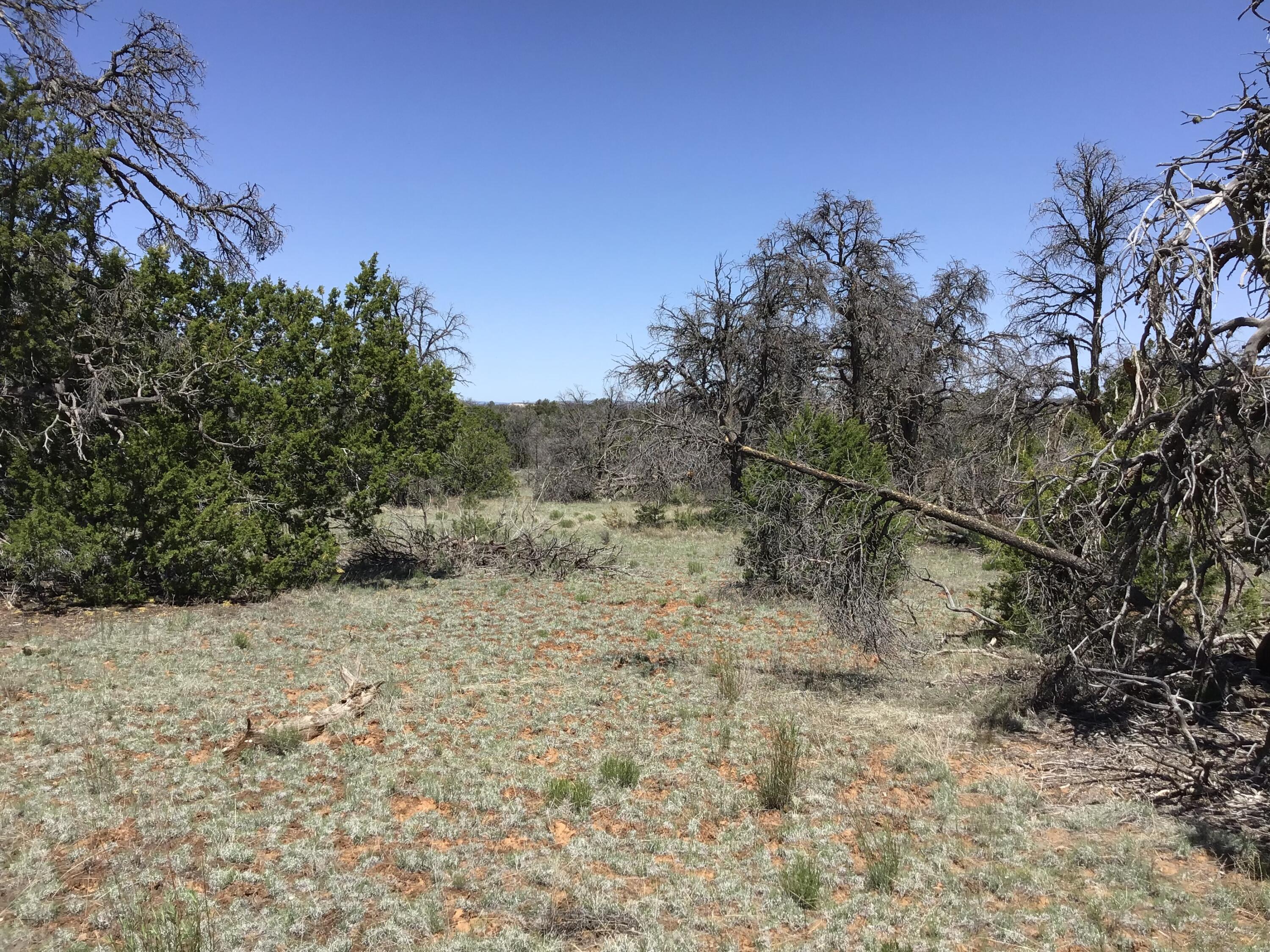 Lot 76 Peaceful Drive, Ramah, New Mexico image 15