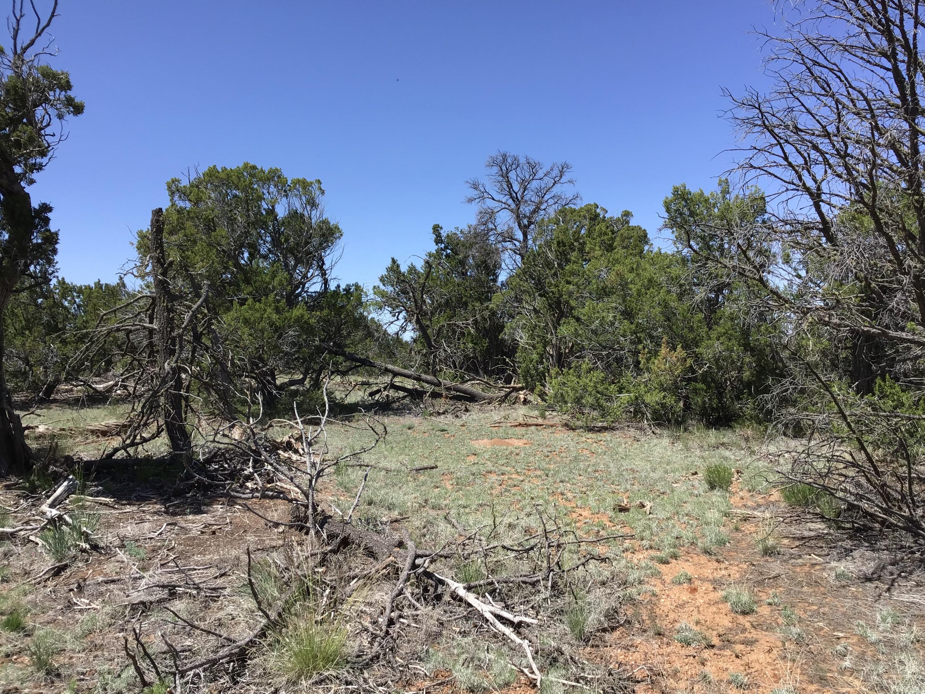 Lot 76 Peaceful Drive, Ramah, New Mexico image 21