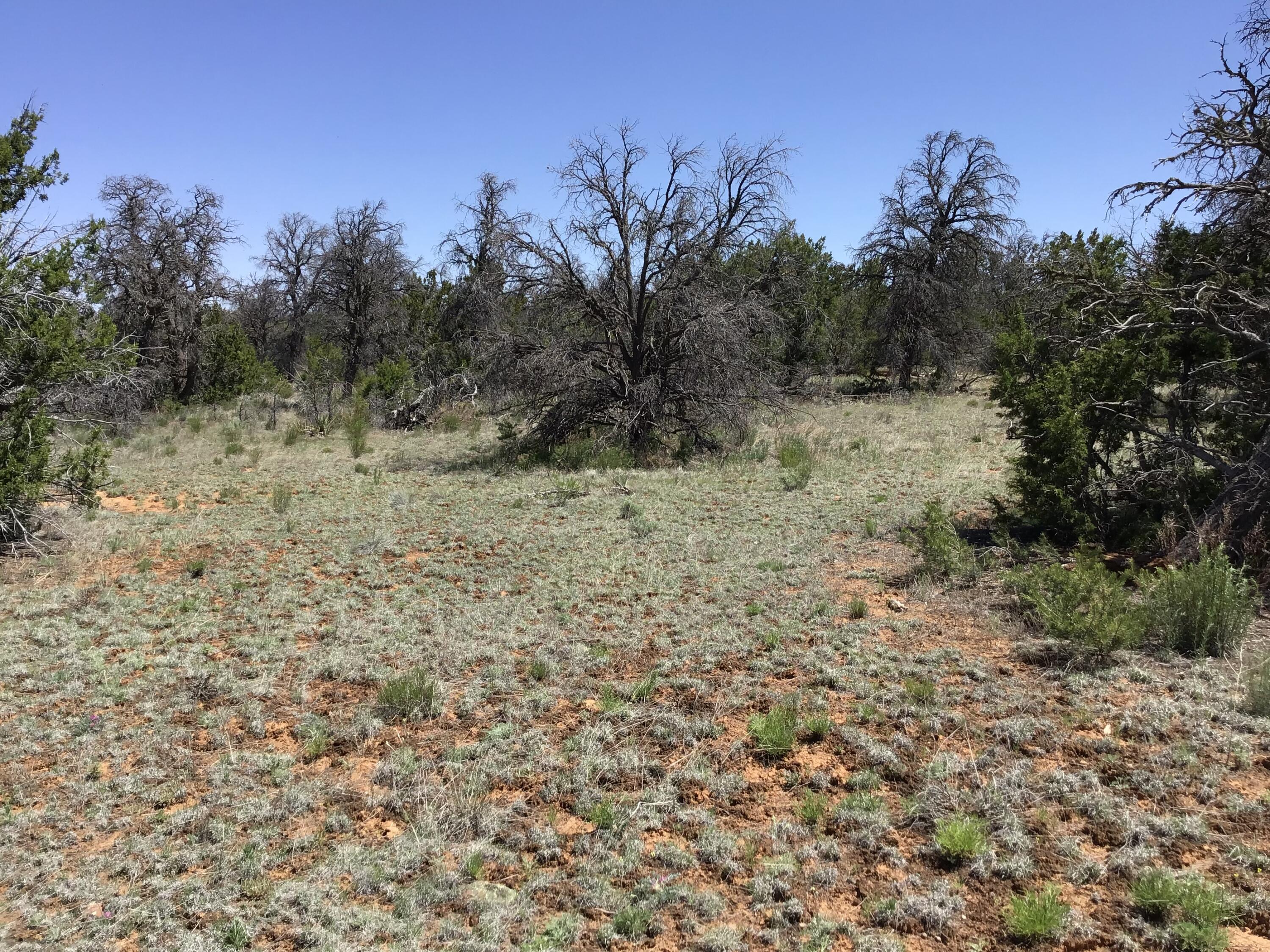 Lot 76 Peaceful Drive, Ramah, New Mexico image 6