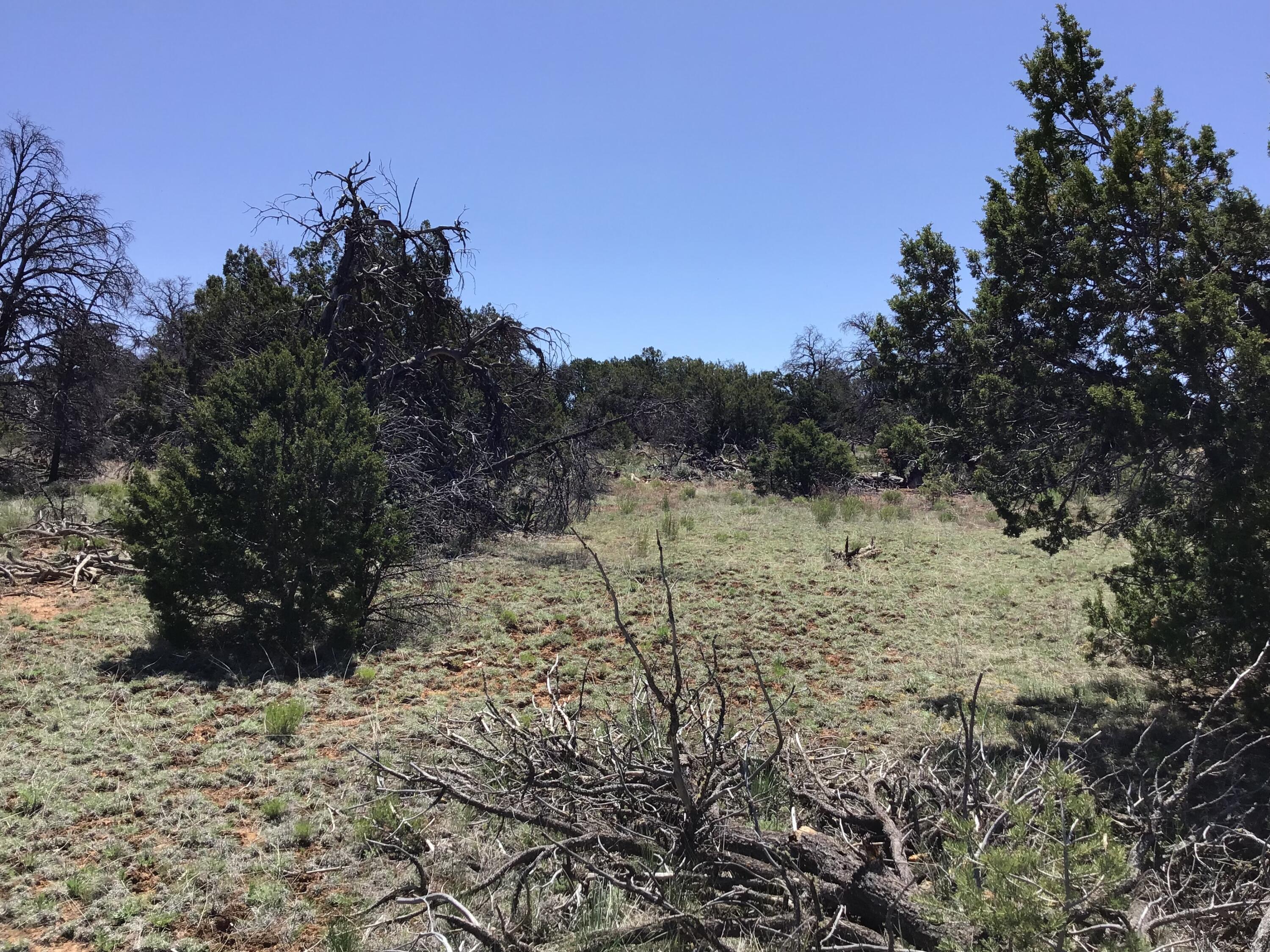 Lot 76 Peaceful Drive, Ramah, New Mexico image 13