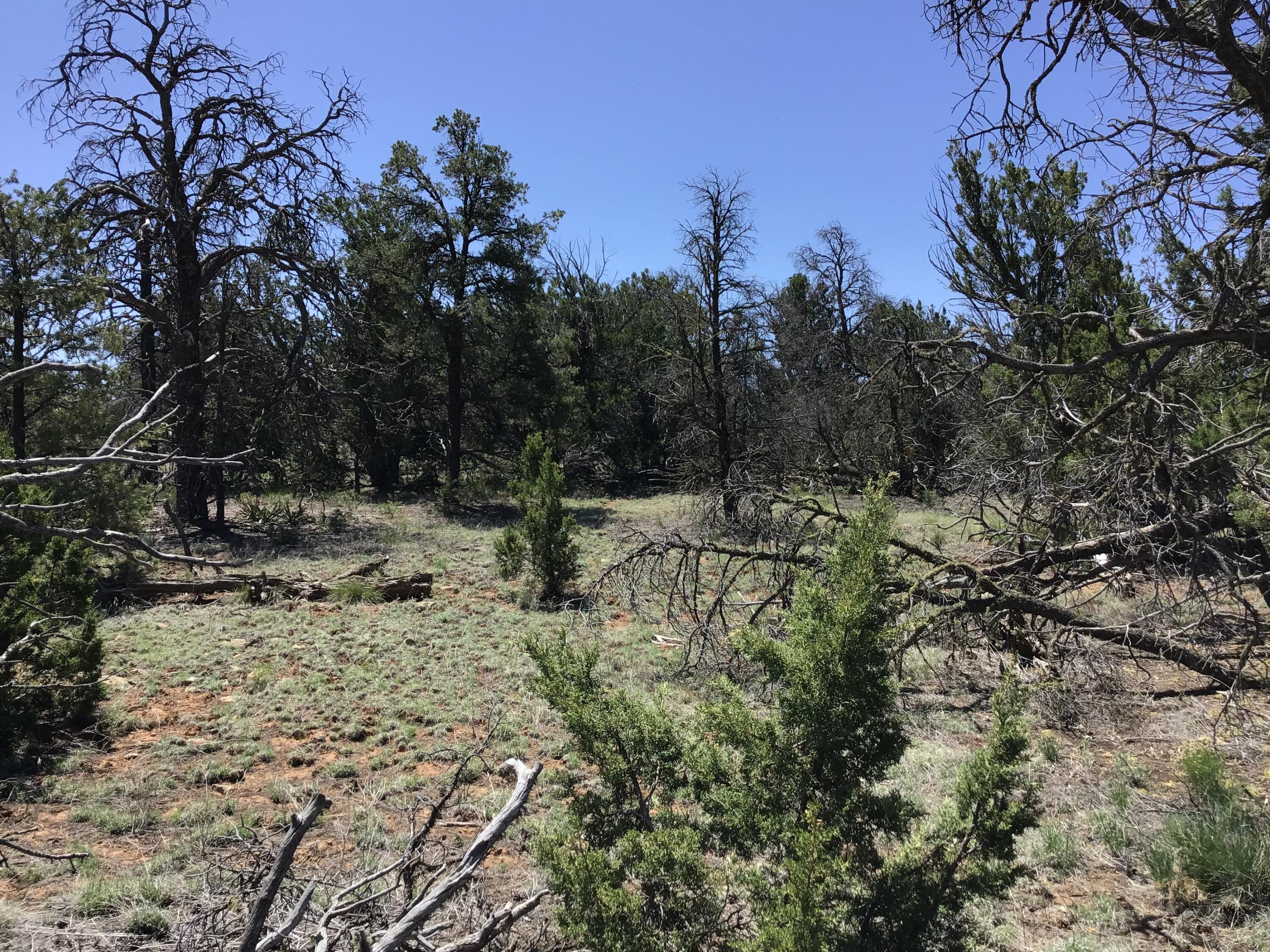Lot 76 Peaceful Drive, Ramah, New Mexico image 9