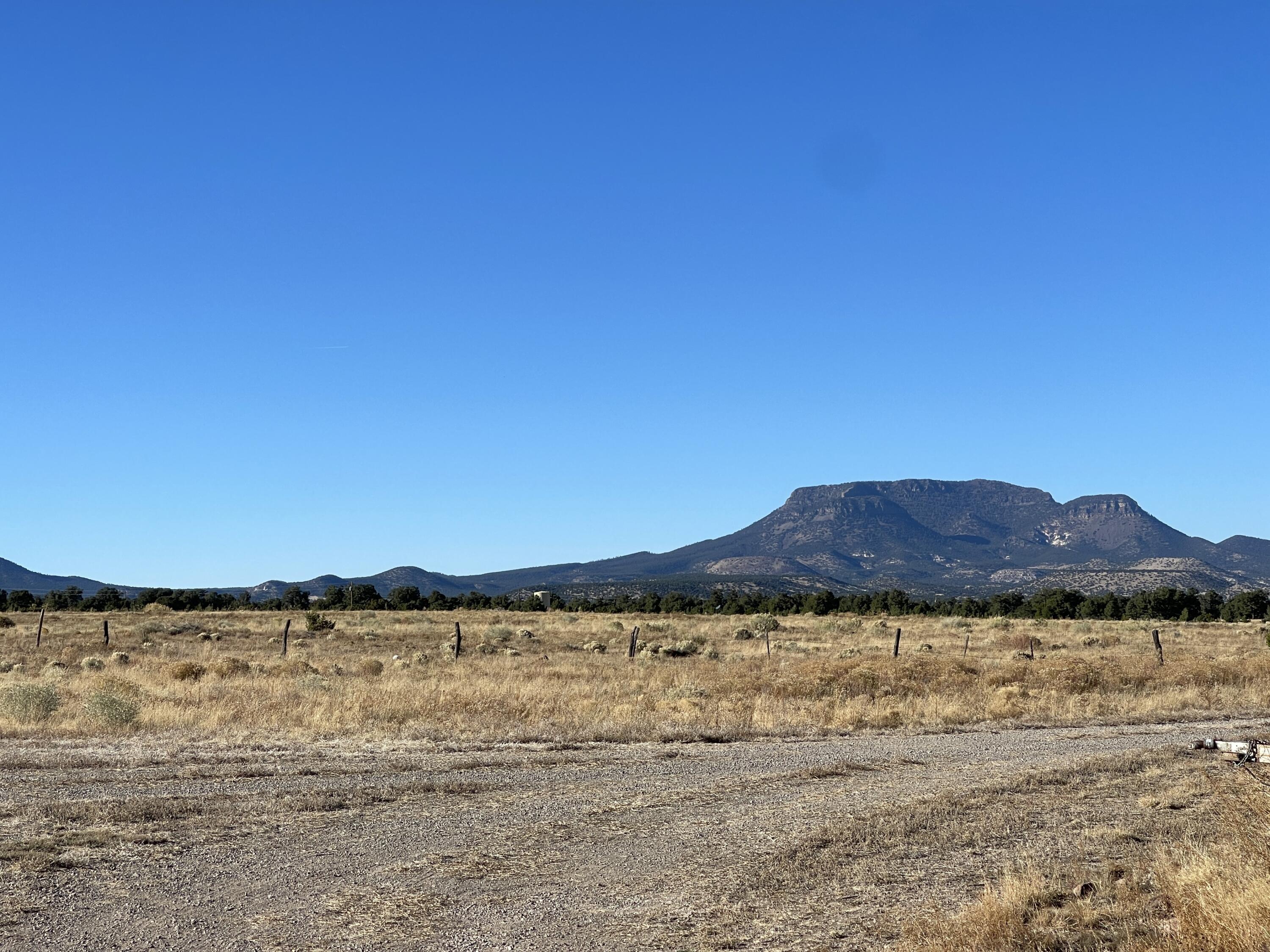 250 Frontier Trail, Datil, New Mexico image 39