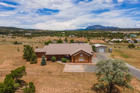 29 Joe Nestor Road, Edgewood, NM 87015 - #: 1066071