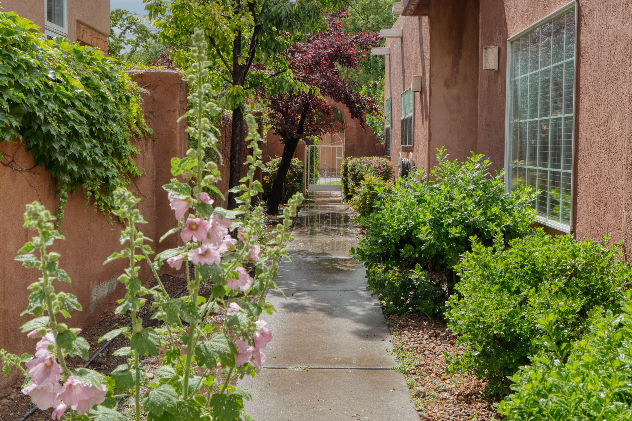 2804 Calle Grande, Albuquerque, New Mexico image 39
