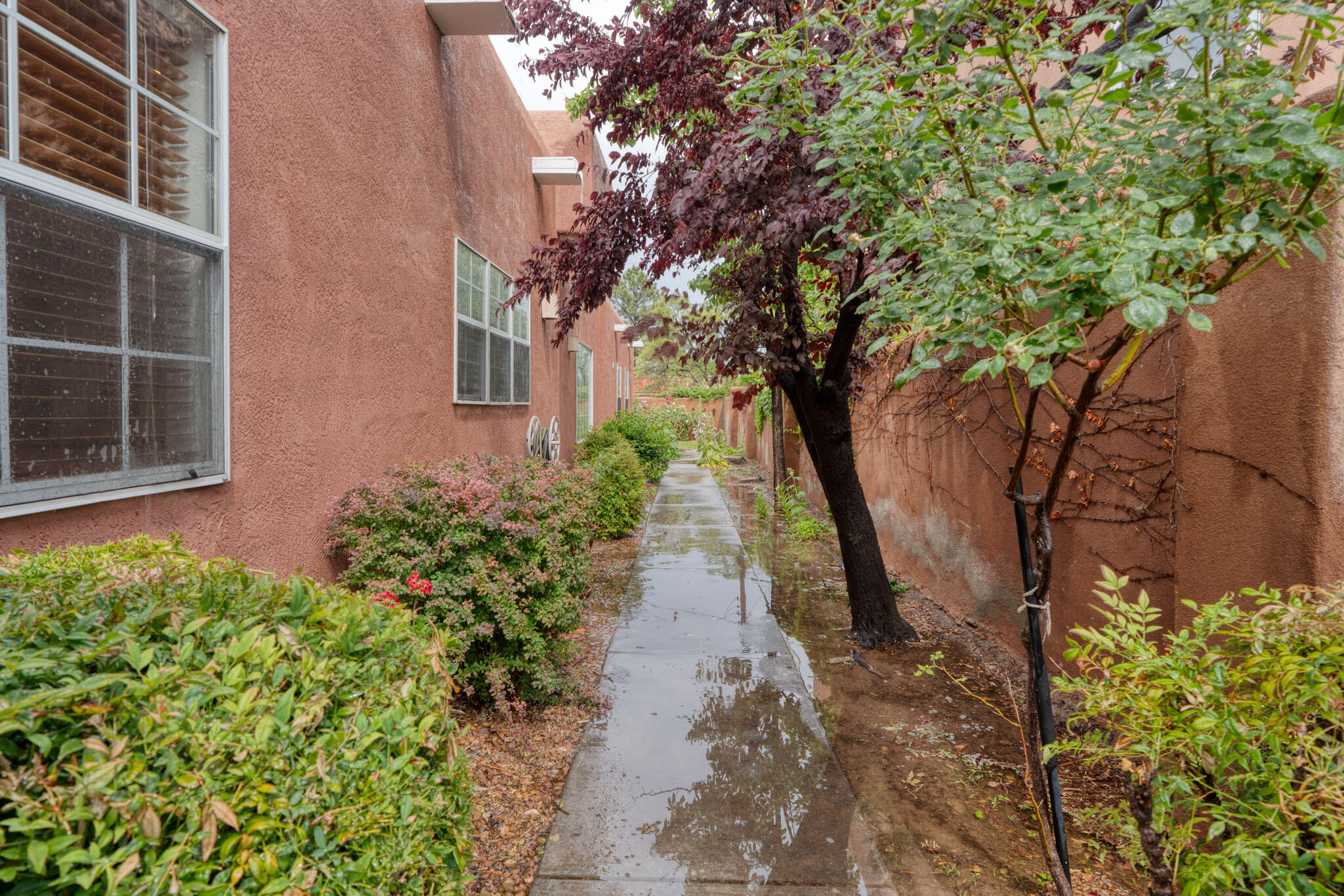 2804 Calle Grande, Albuquerque, New Mexico image 38