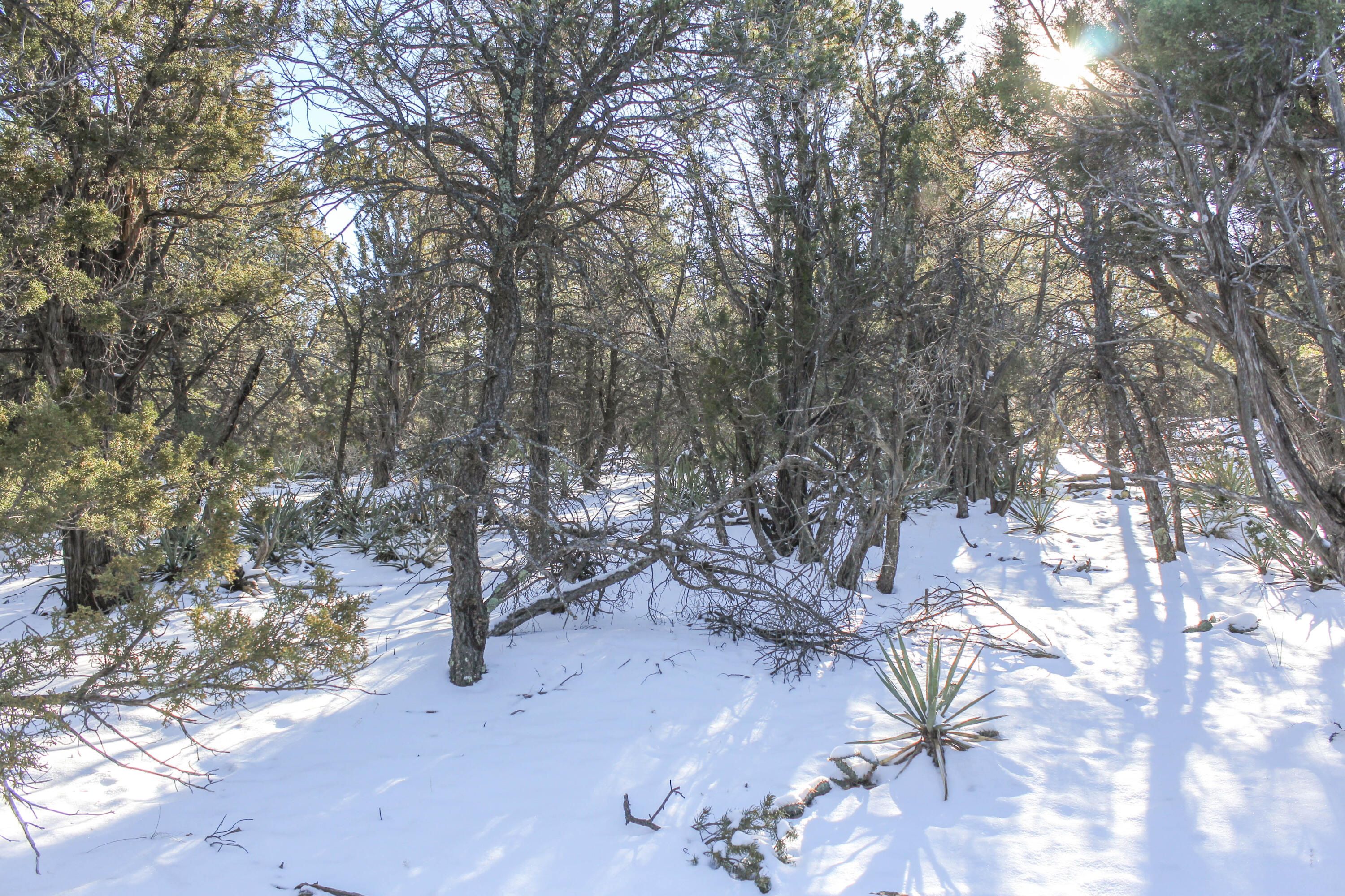 27 Morper Road, Edgewood, New Mexico image 3