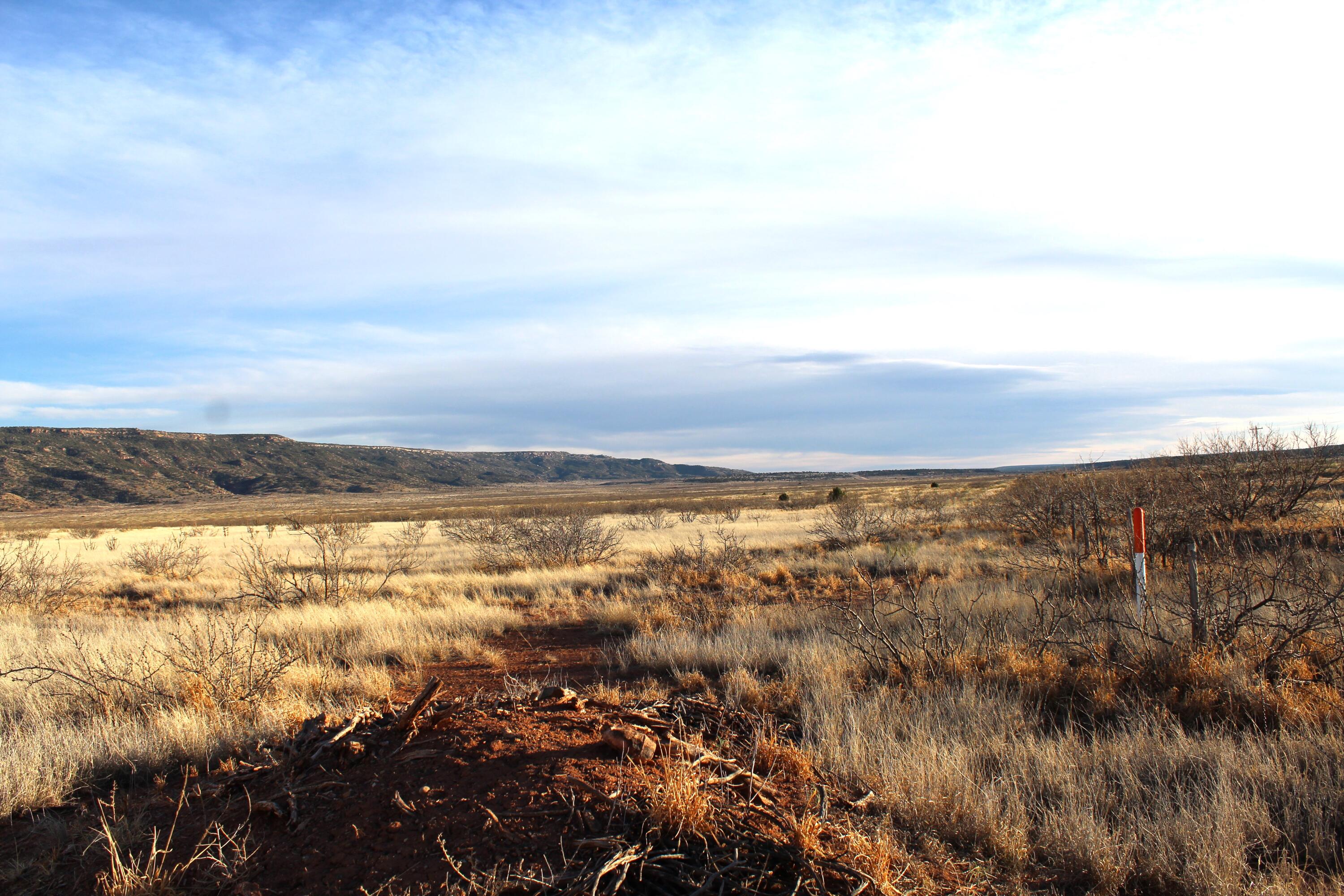 7306 Nm Highway 104, Conchas Dam, New Mexico image 2