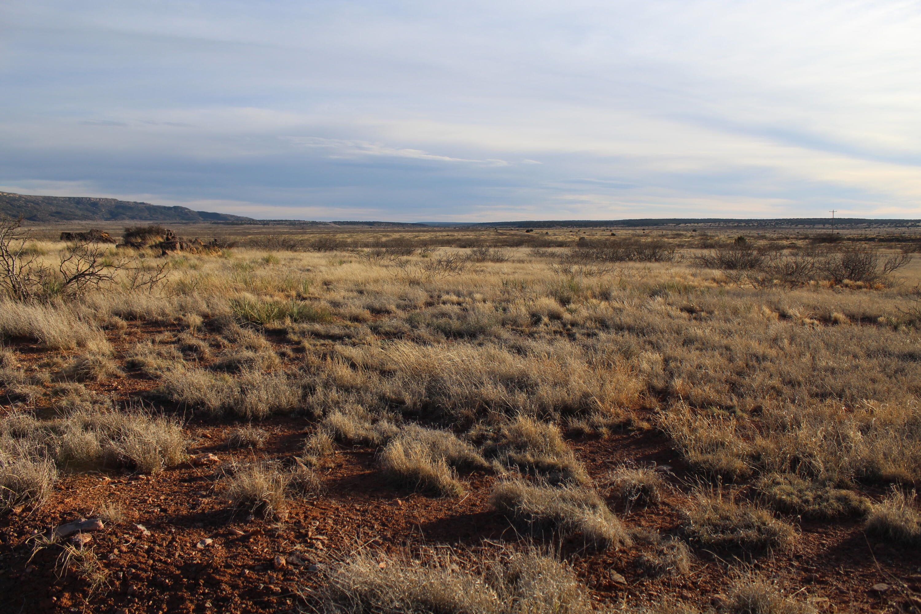 7306 Nm Highway 104, Conchas Dam, New Mexico image 5