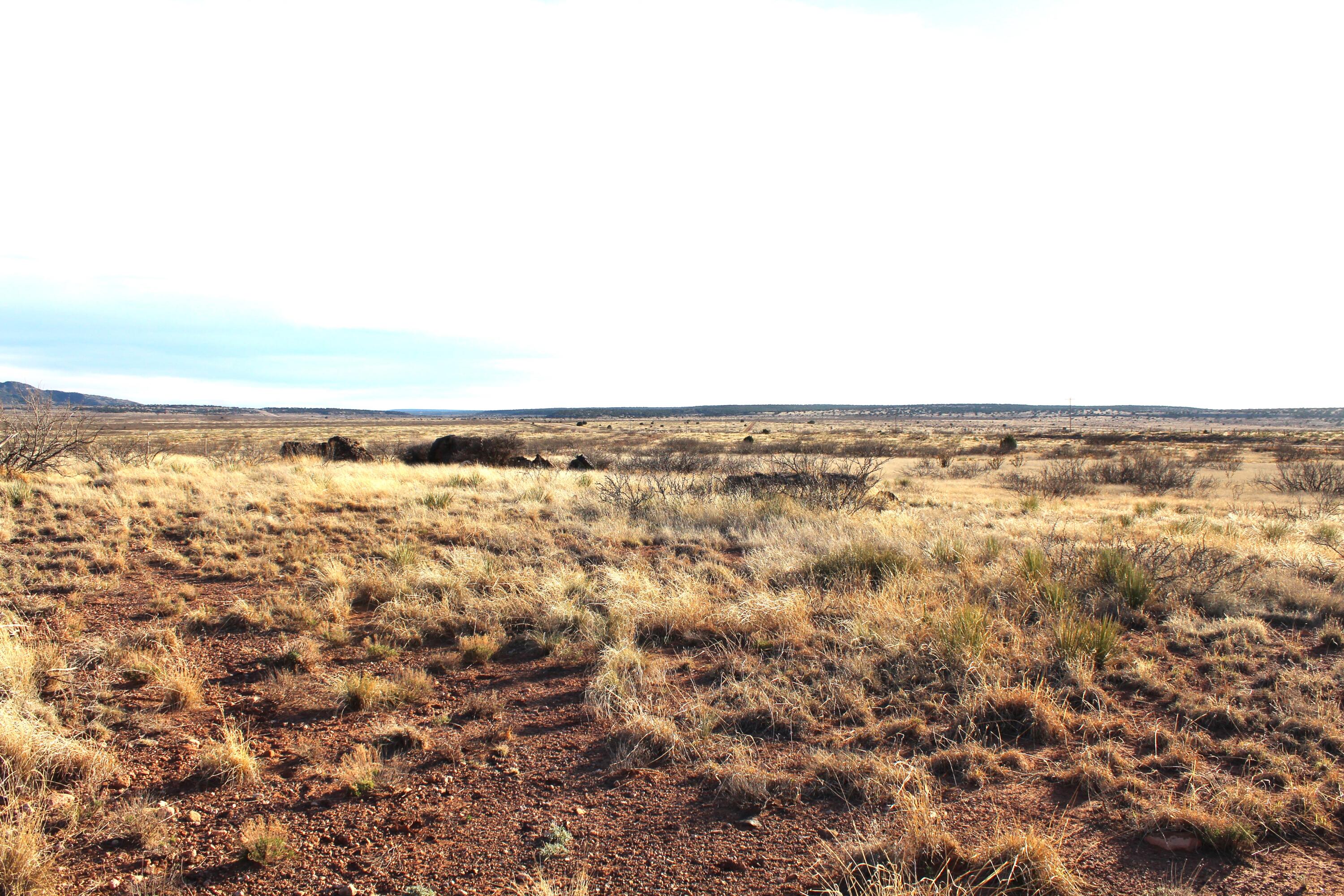 7306 Nm Highway 104, Conchas Dam, New Mexico image 3