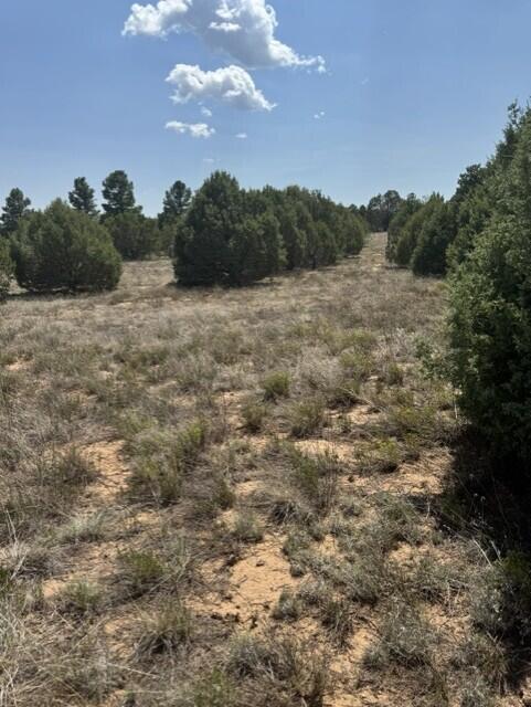 39 Quail Hollow Road