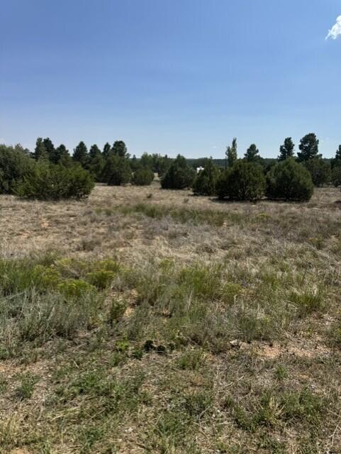 39 Quail Hollow Road