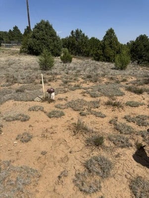 39 QUAIL HOLLOW CT, TIJERAS, NM 87059 - Image edcaedfc6433ebdcb50437224be7f2ef/3421286626