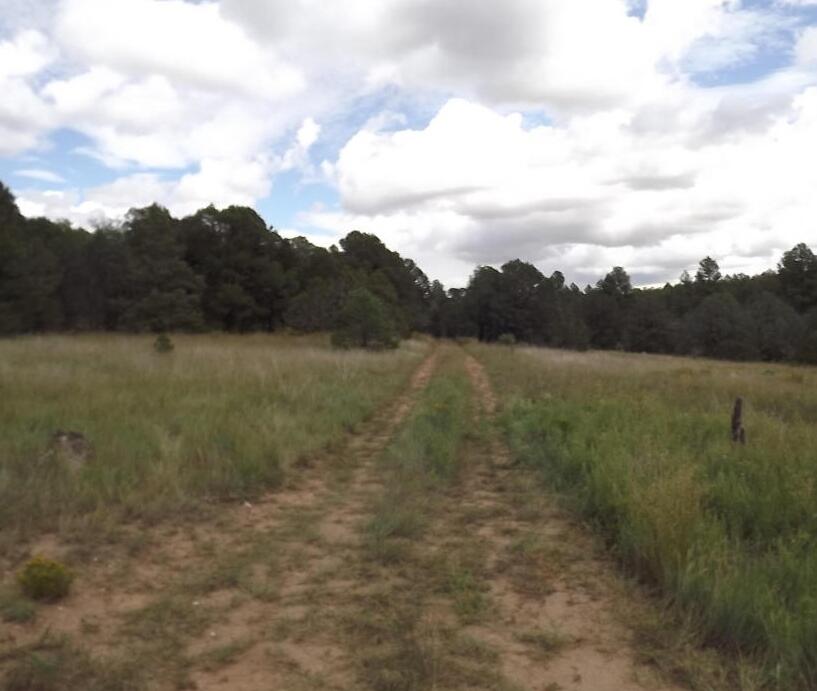 36 Plant Road, Edgewood, New Mexico image 3