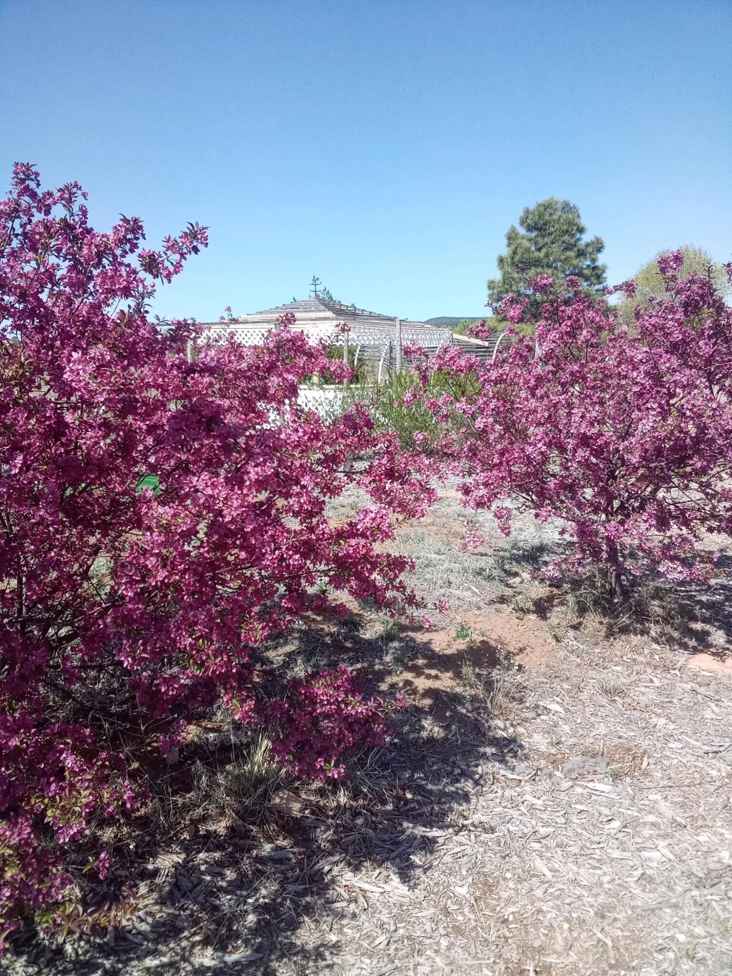 20 Reubens Lane, Edgewood, New Mexico image 29