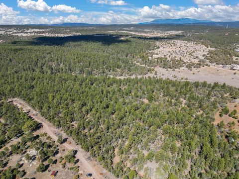 Vacant Land For Sale - Raquel Road<br/> Bernalillo County, Tijeras, NM 87059